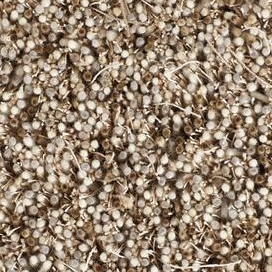Vertoon produk Tekla | Vanilla Shake 880 van vervaardiger Kasthall