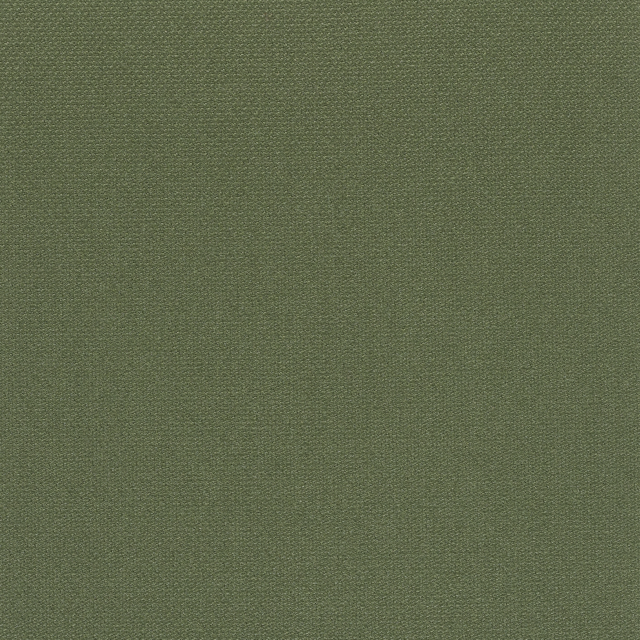 Steelcut 2 - 0980