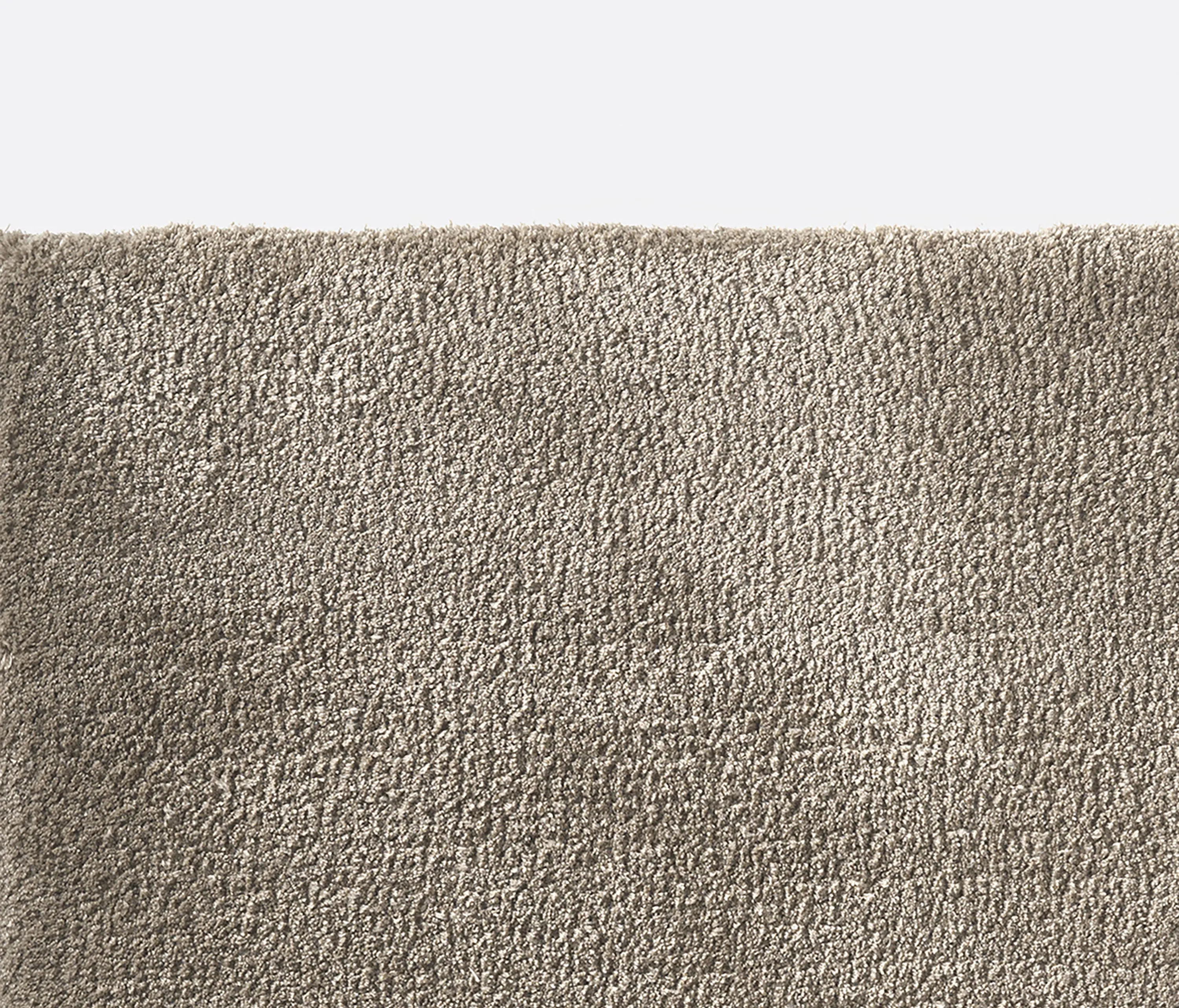 Kvadrat - Bambusa - 1901