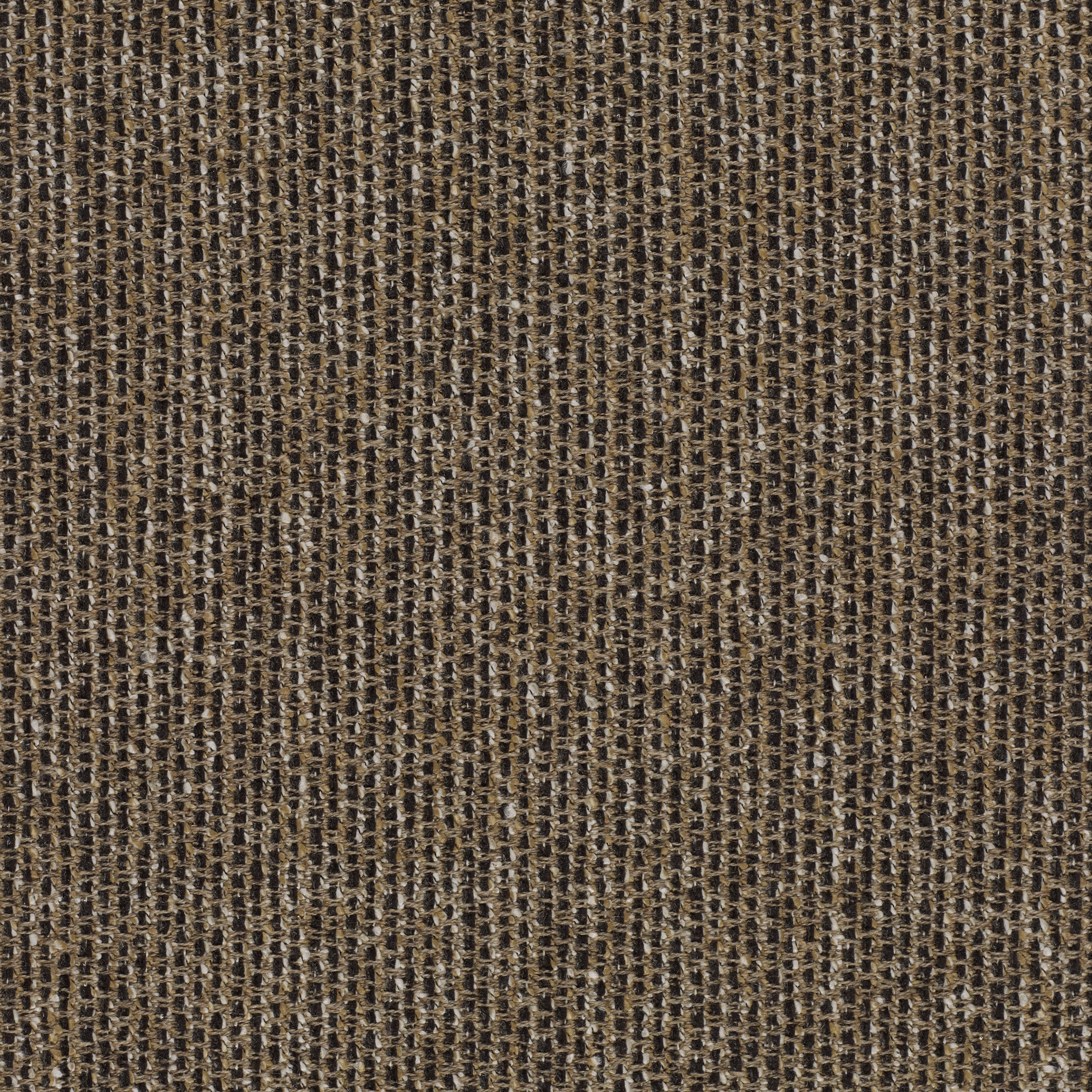 Savanna - 0262