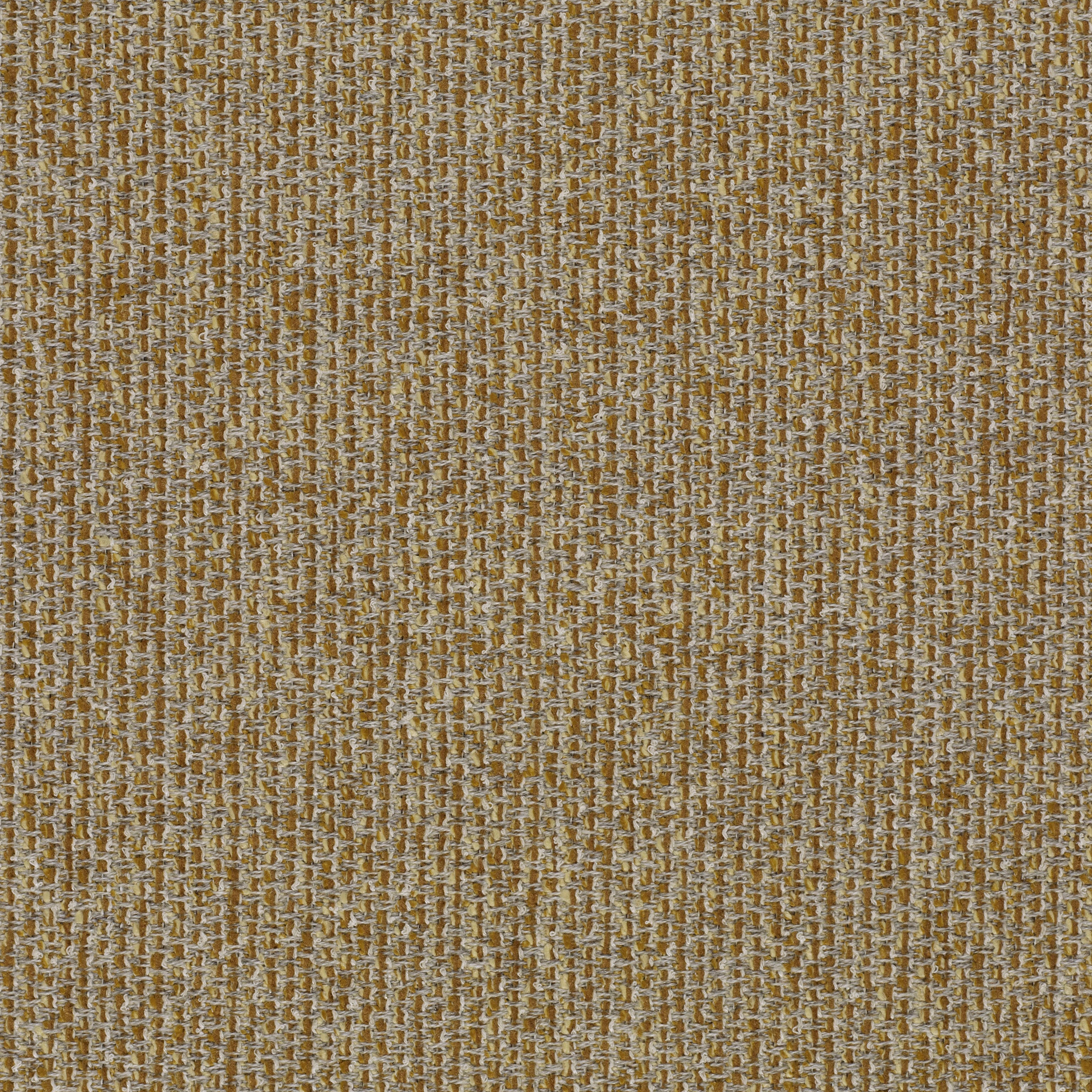 Savanna - 0442