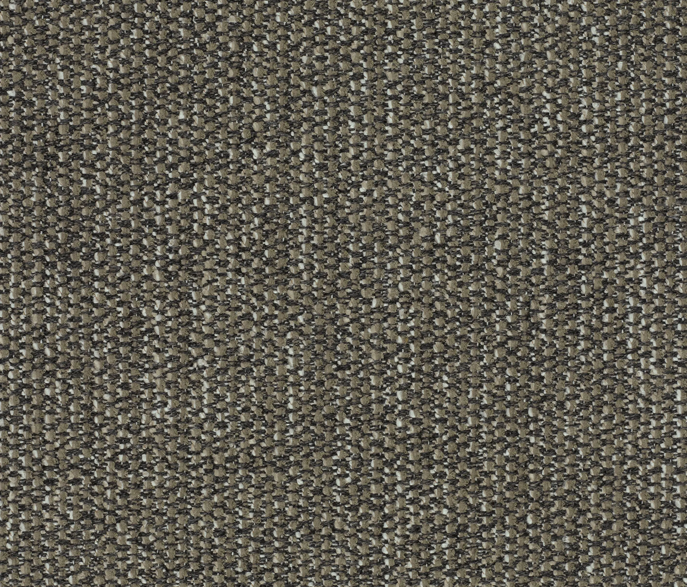 Kvadrat - Savanna - 0952