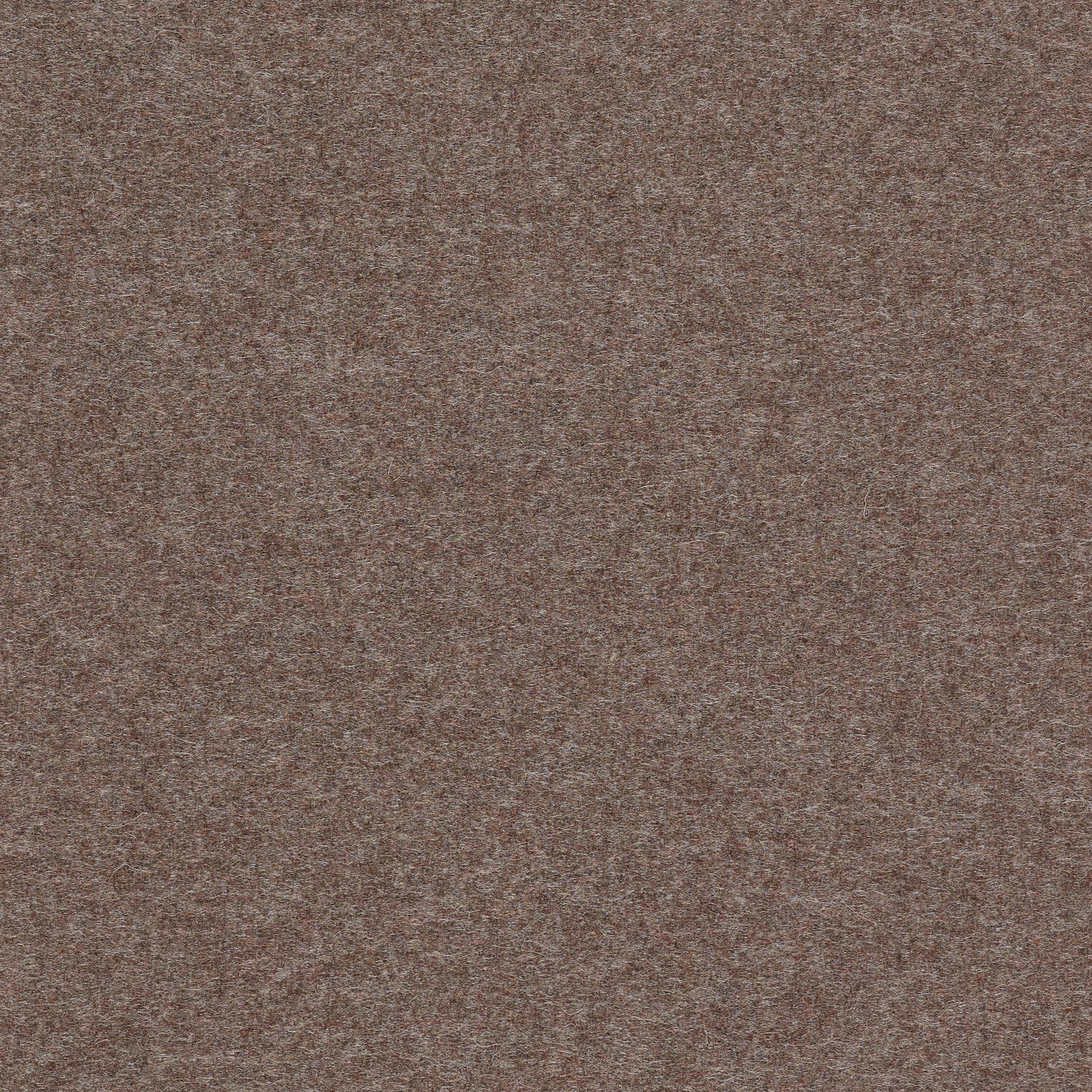 Divina MD - 0363
