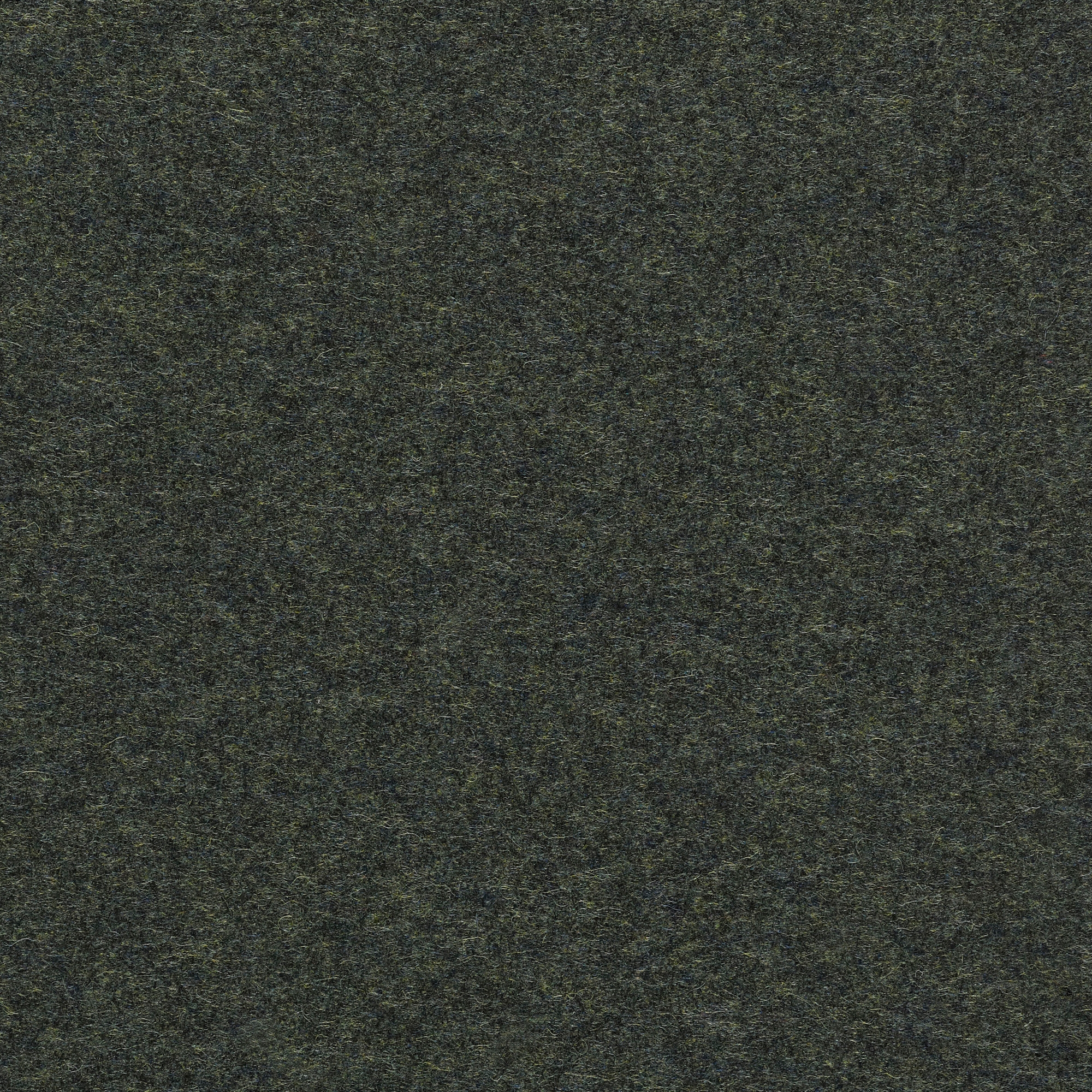 Divina MD - 0973