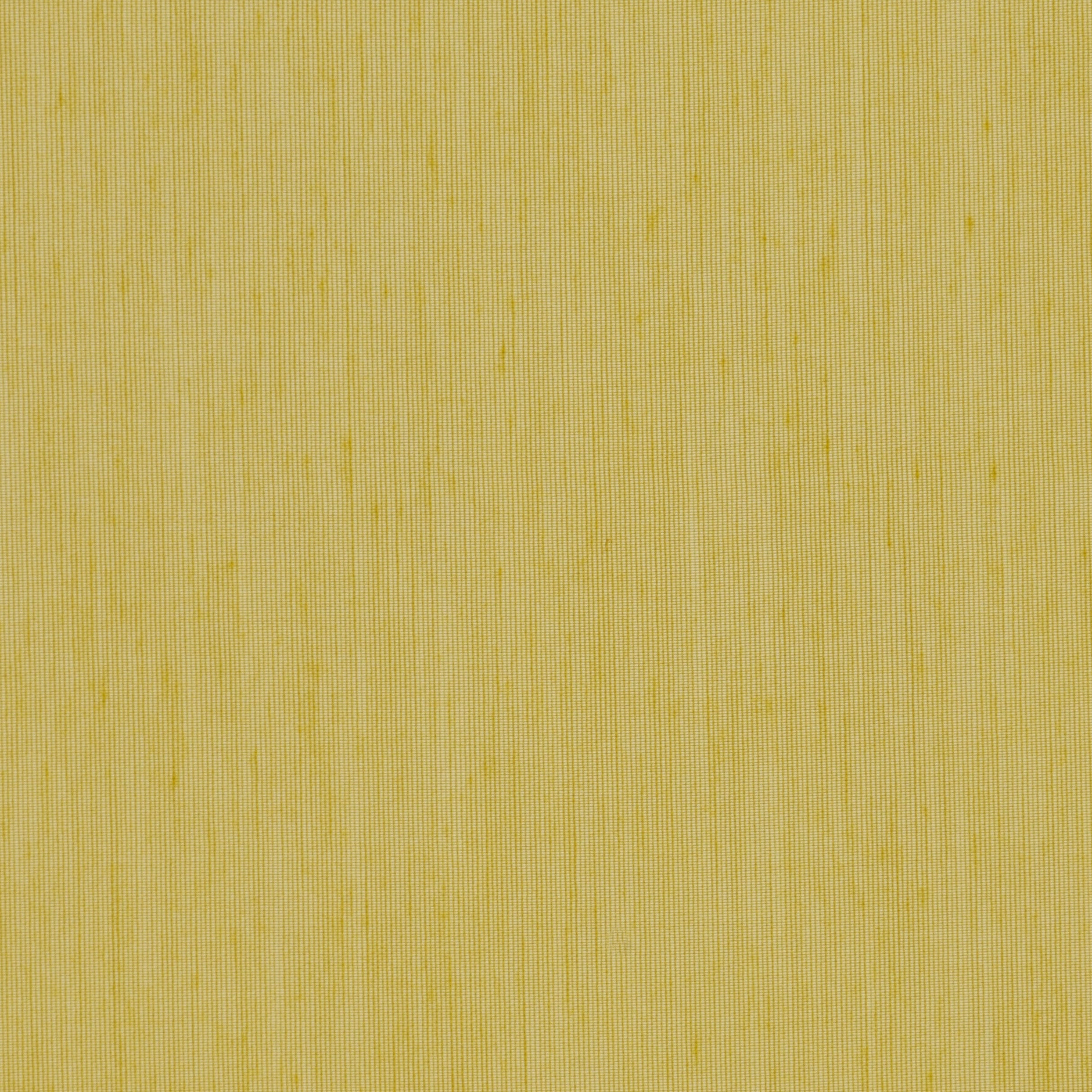 Noon - 0492