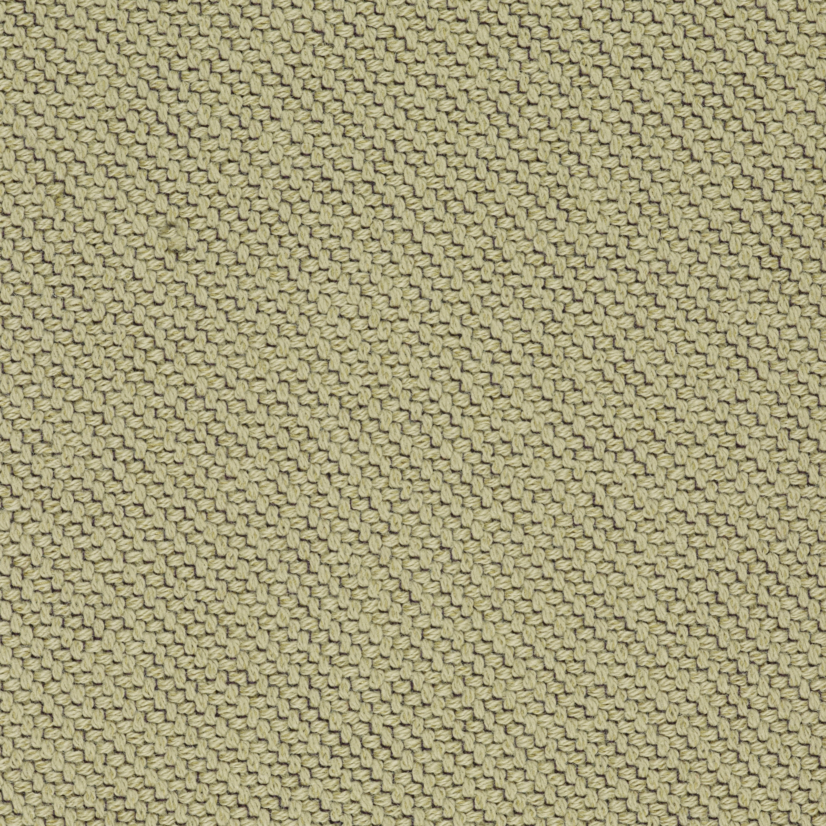 Coda 2 - 0222
