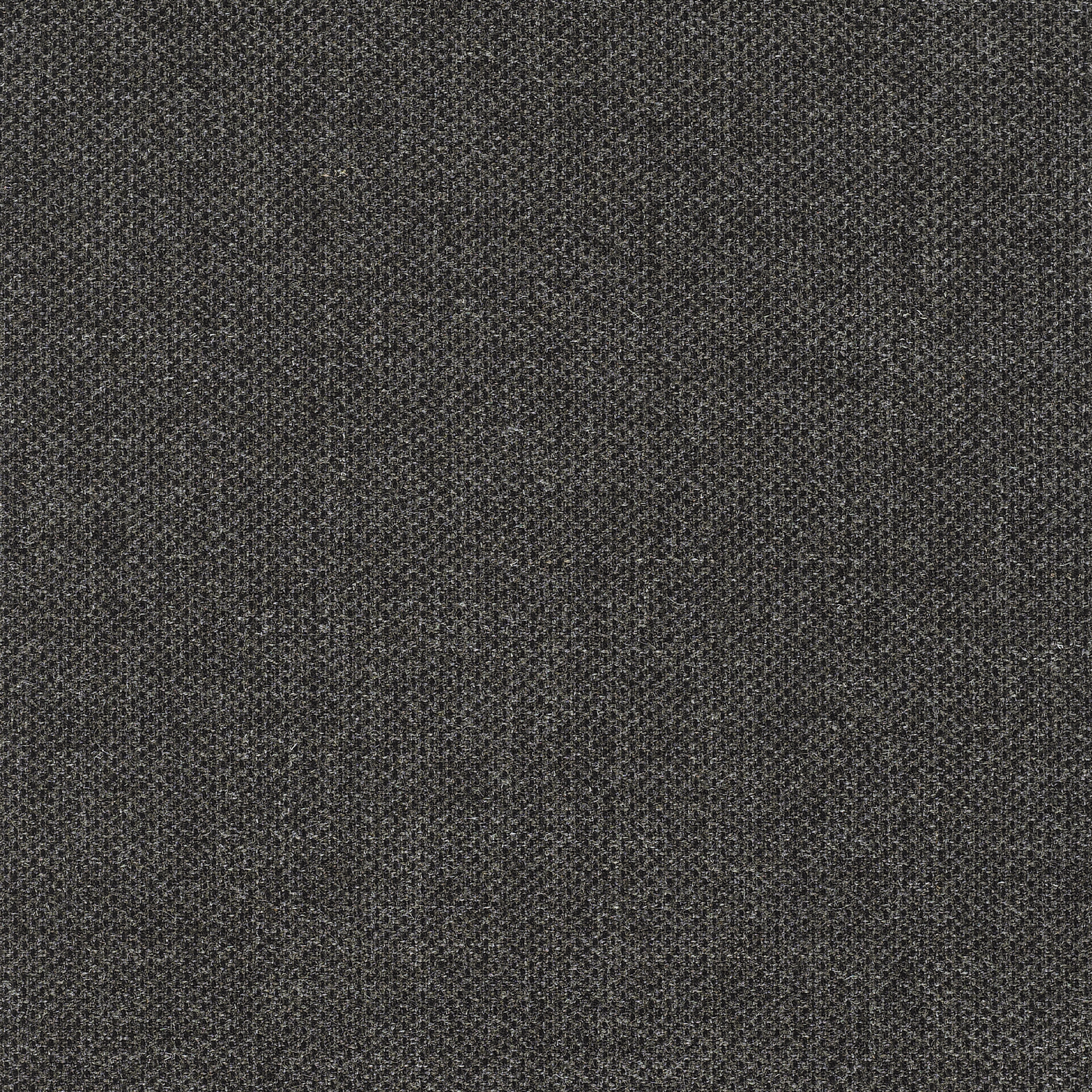 Clara 2 - 0184