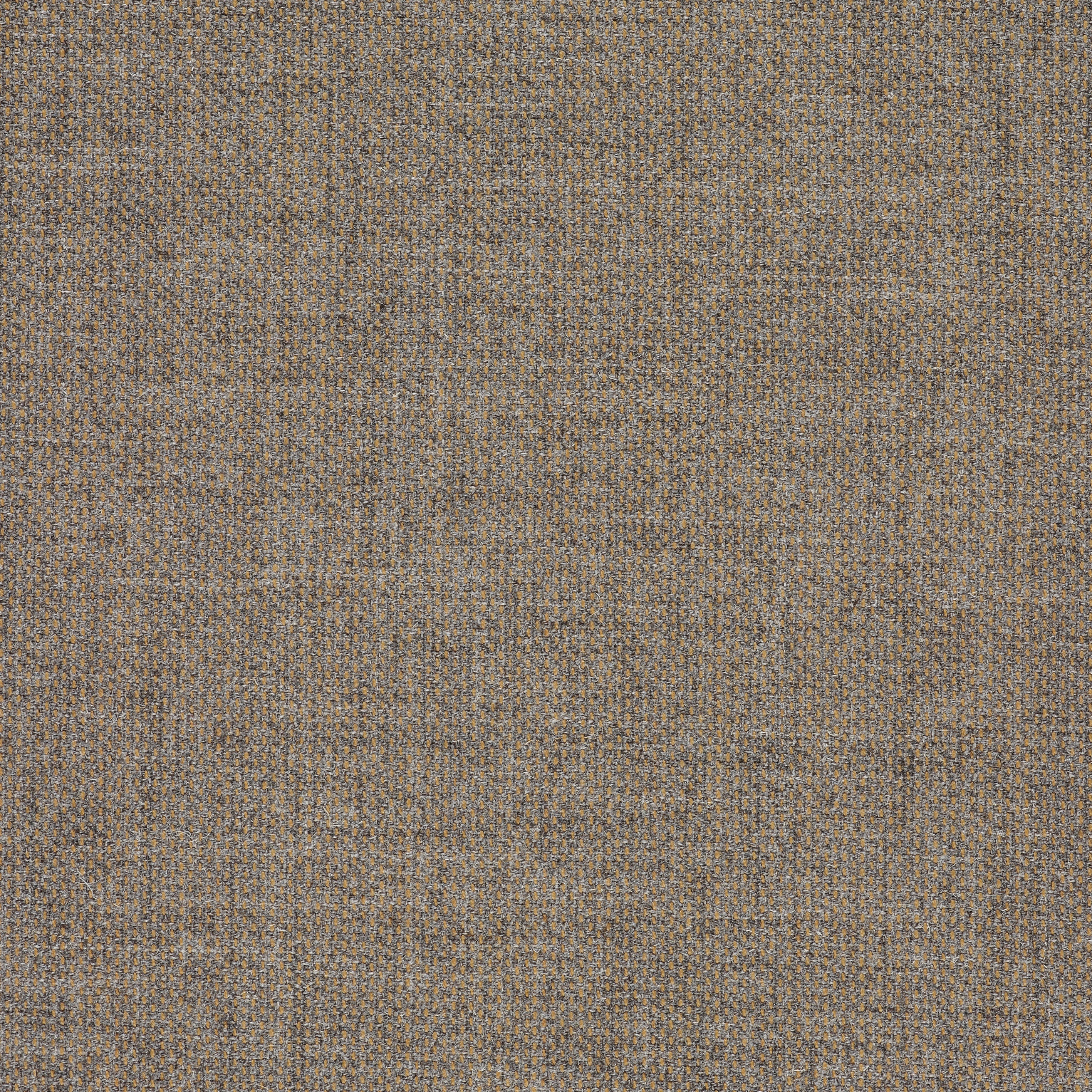 Clara 2 - 0273