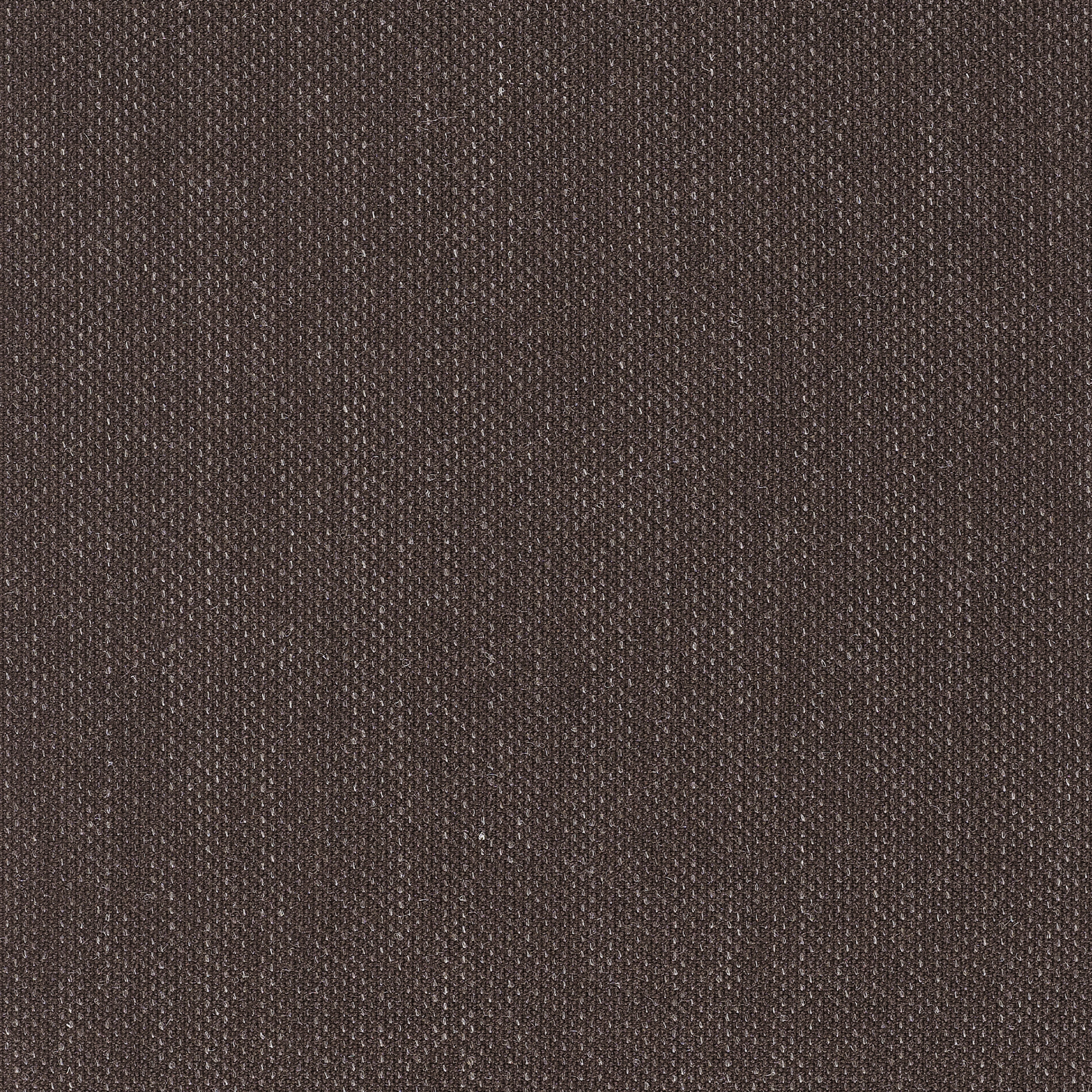 Clara 2 - 0388