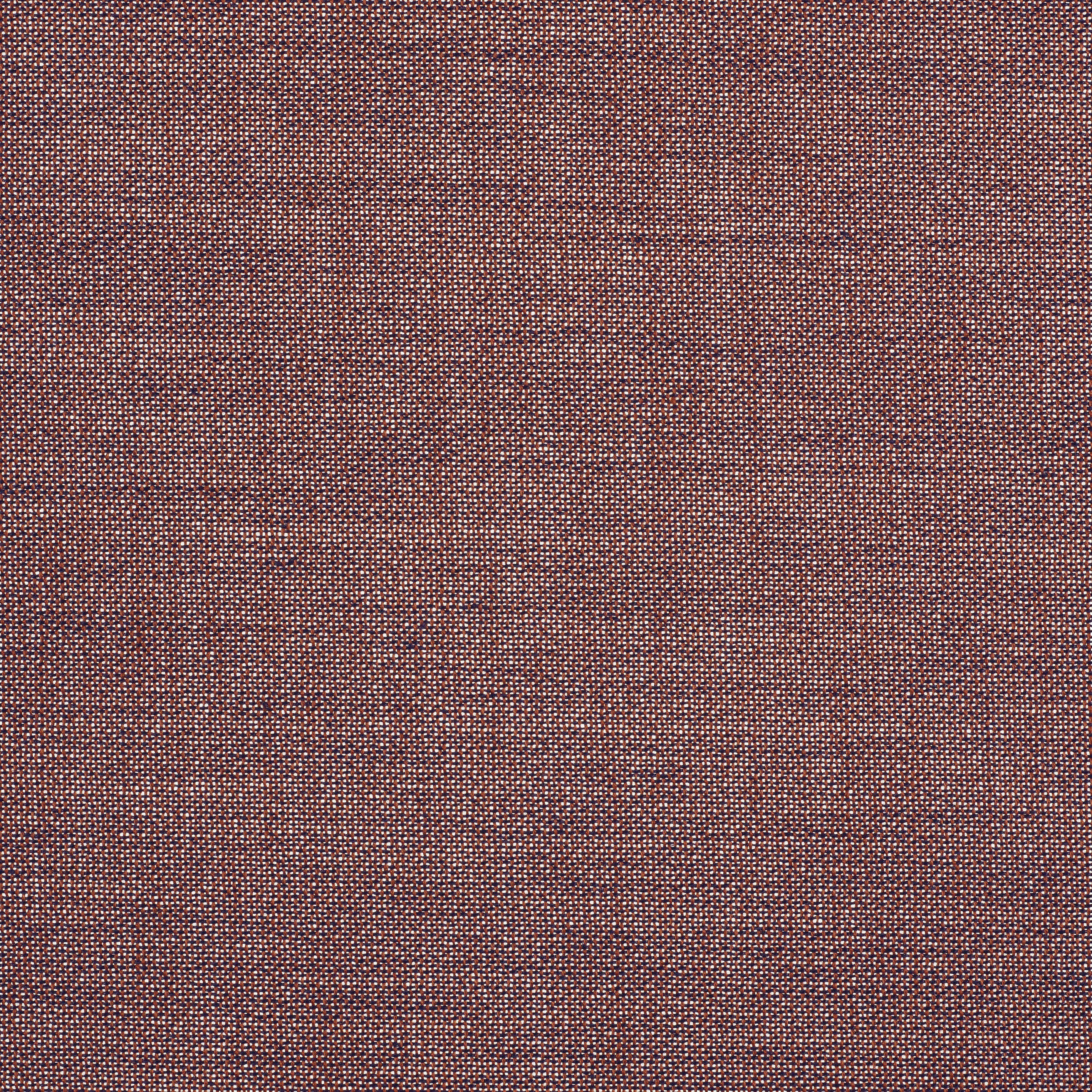 Ginger 2 - 0292