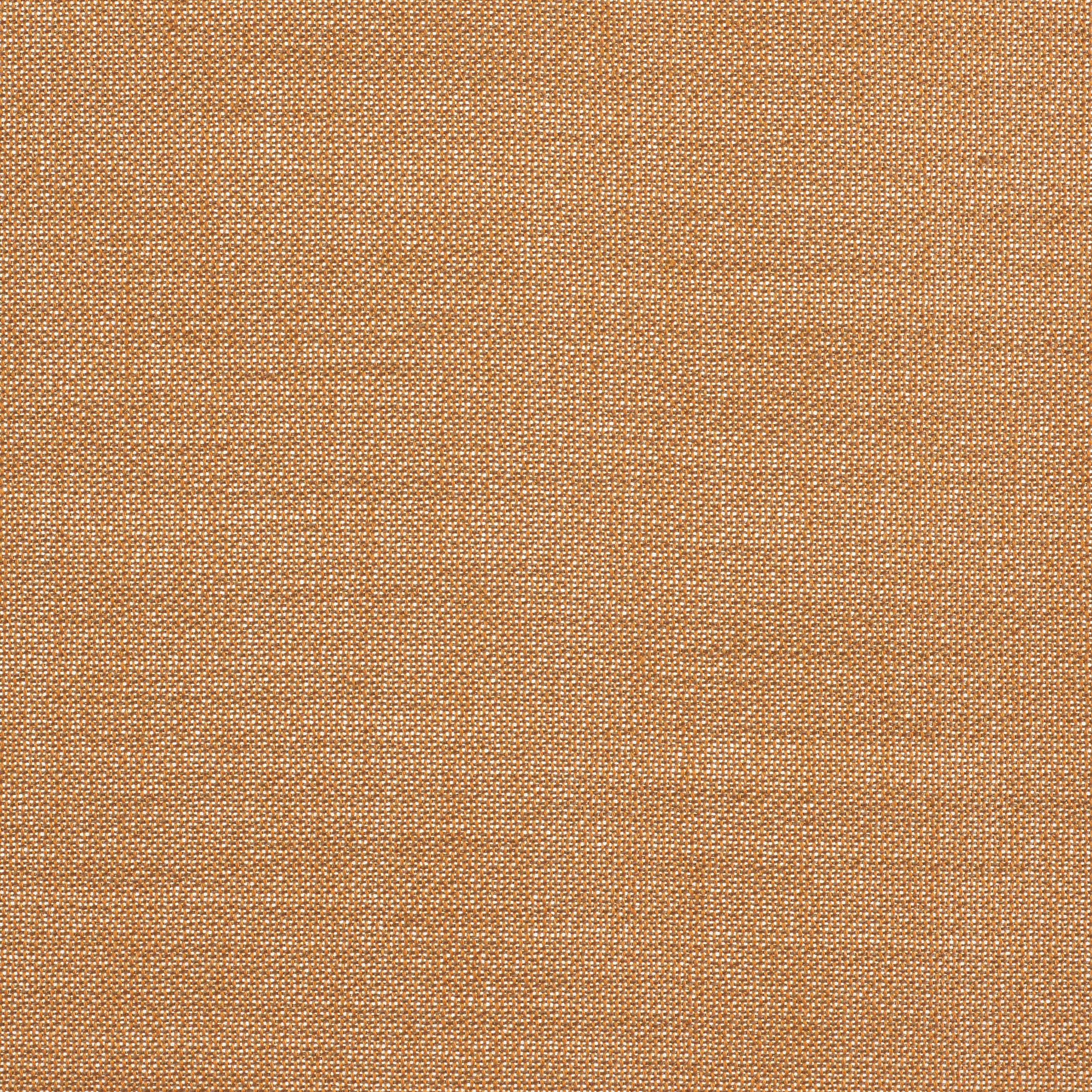 Ginger 2 - 0462