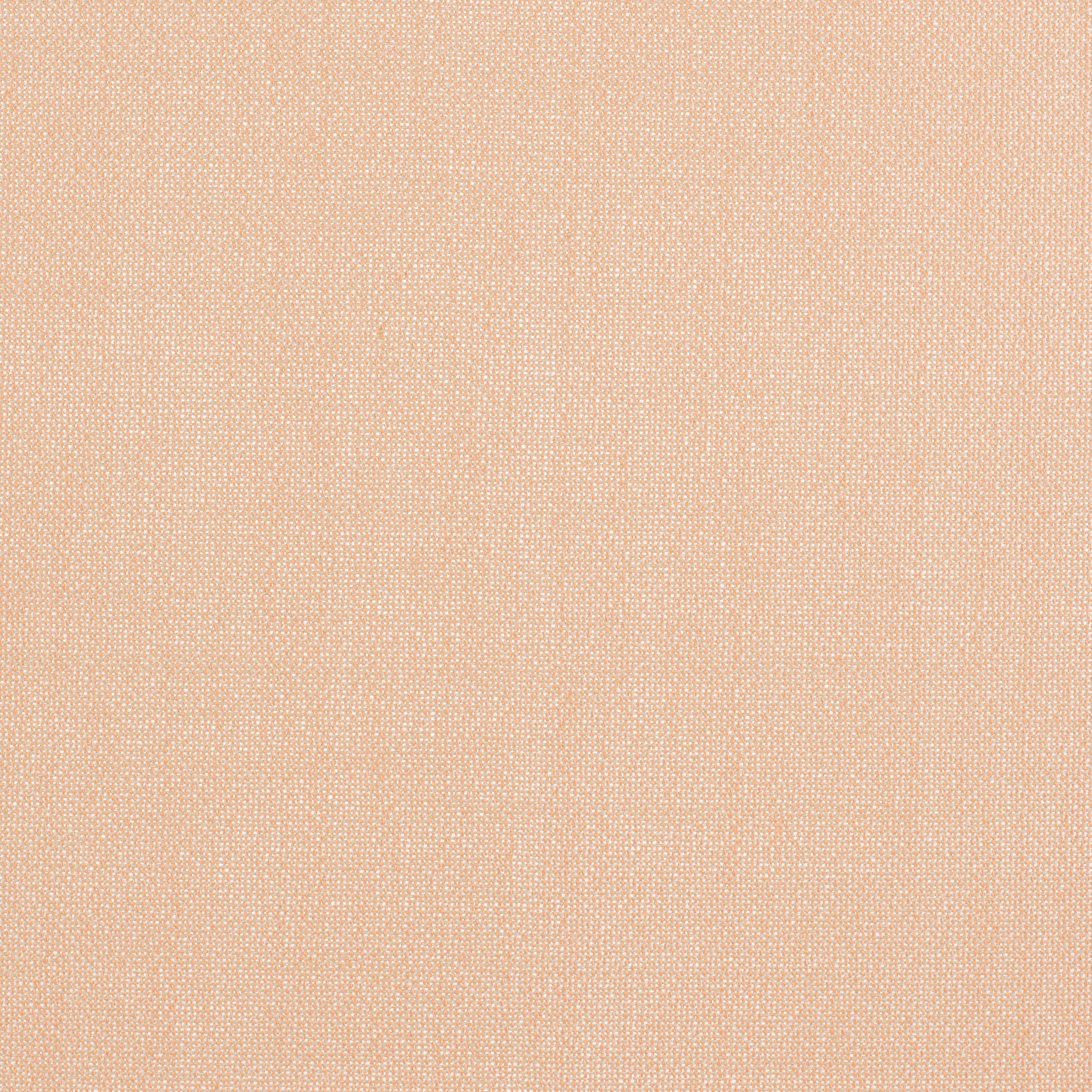 Ginger 2 - 0622