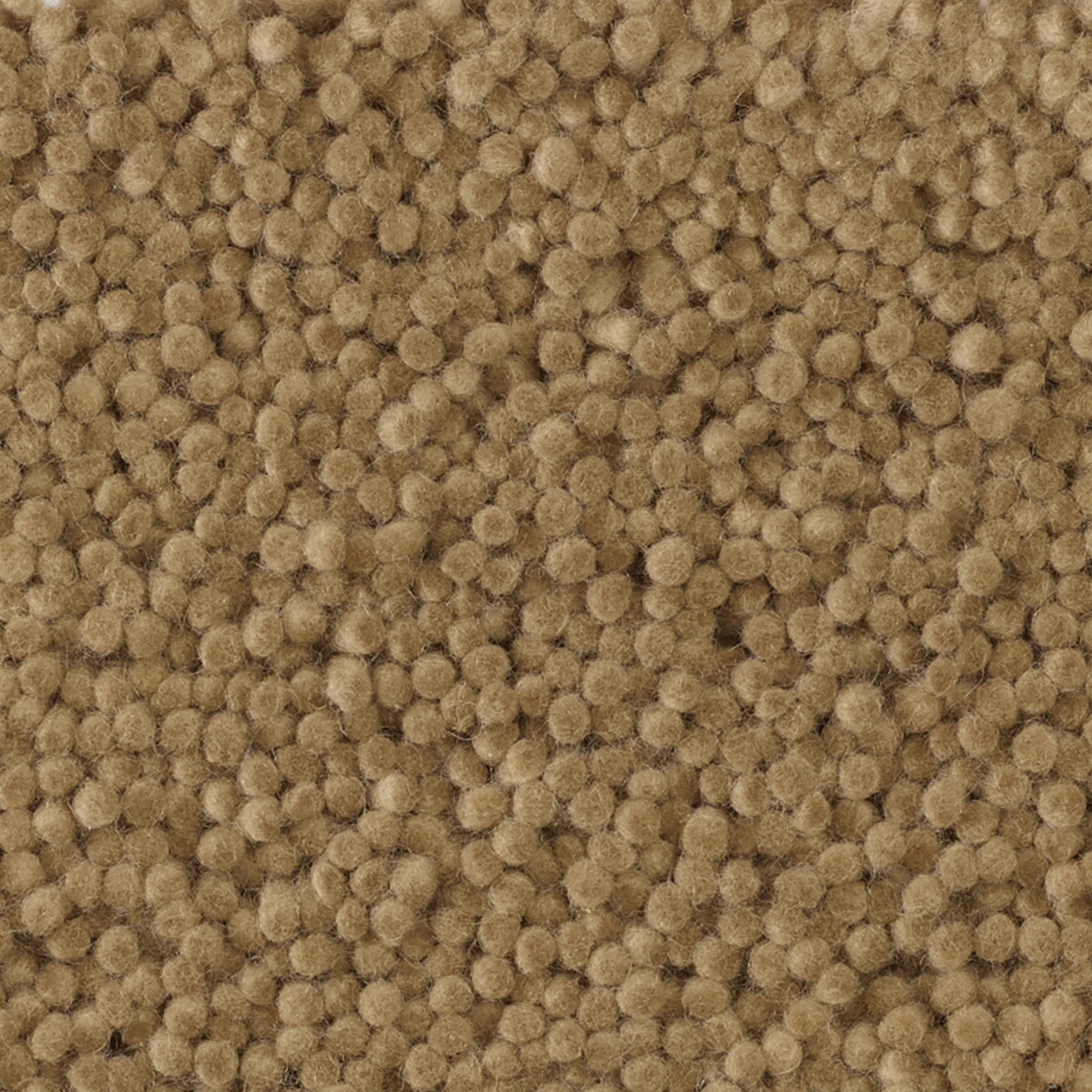 Dew - 0231