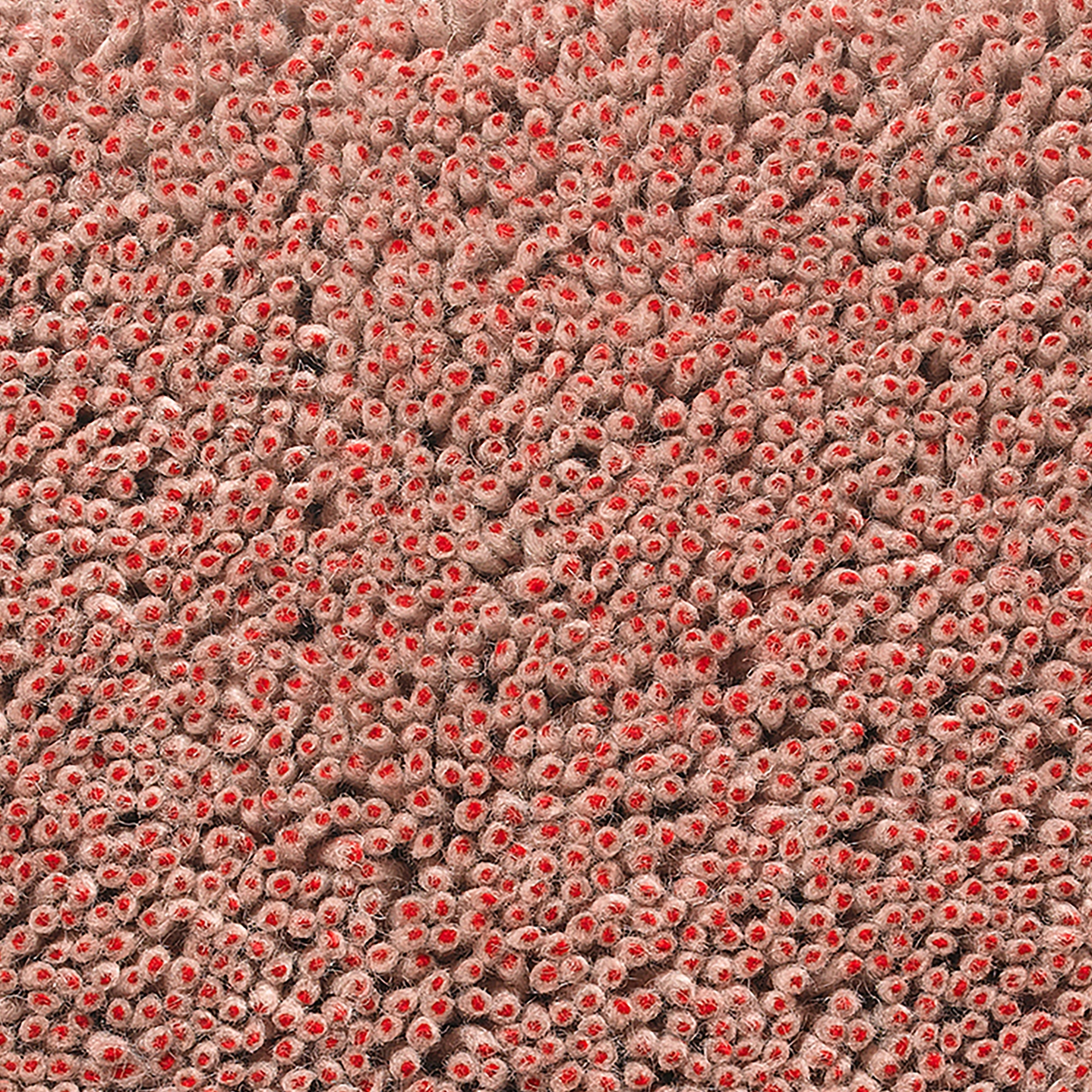 Grano - 0231