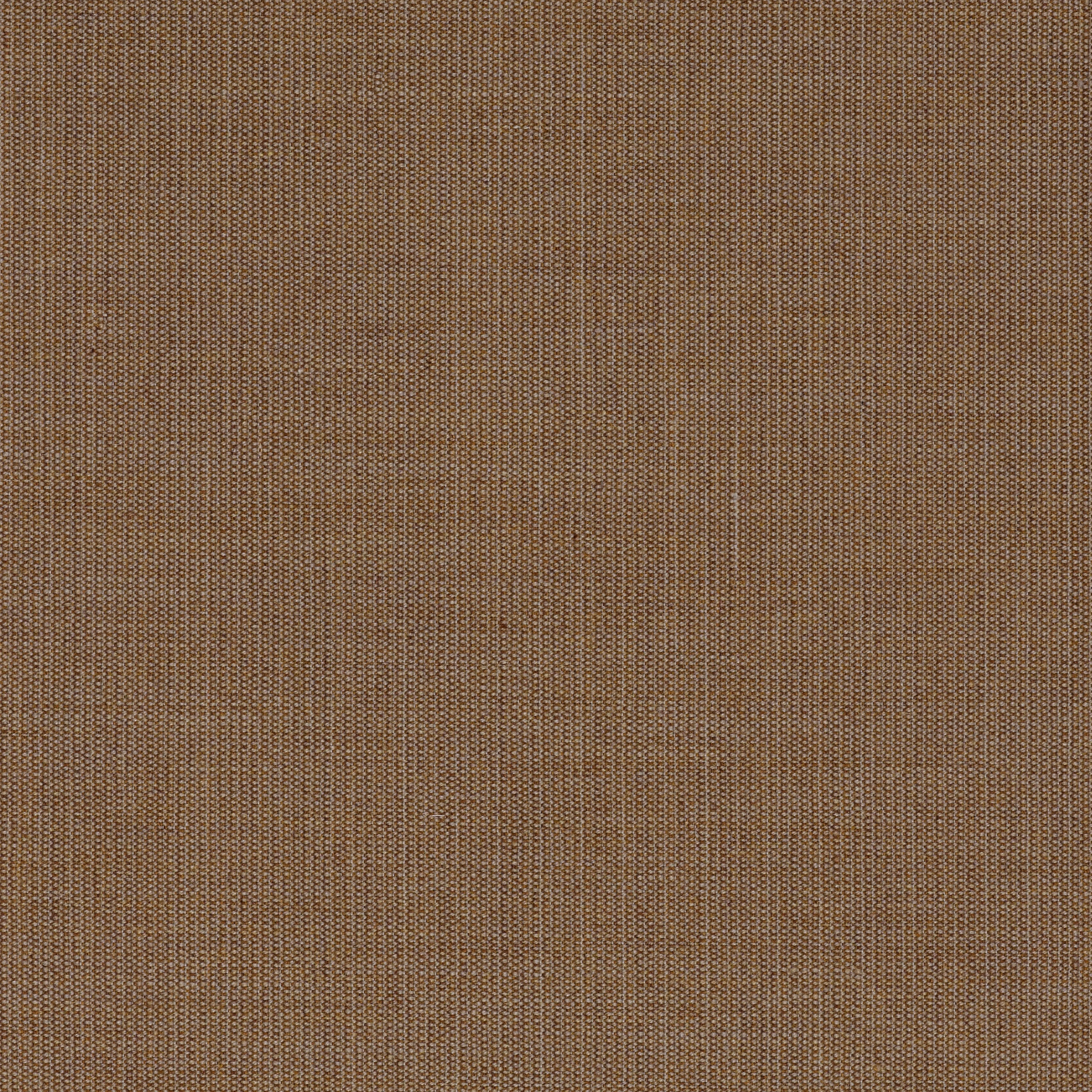 Canvas 2 - 0254