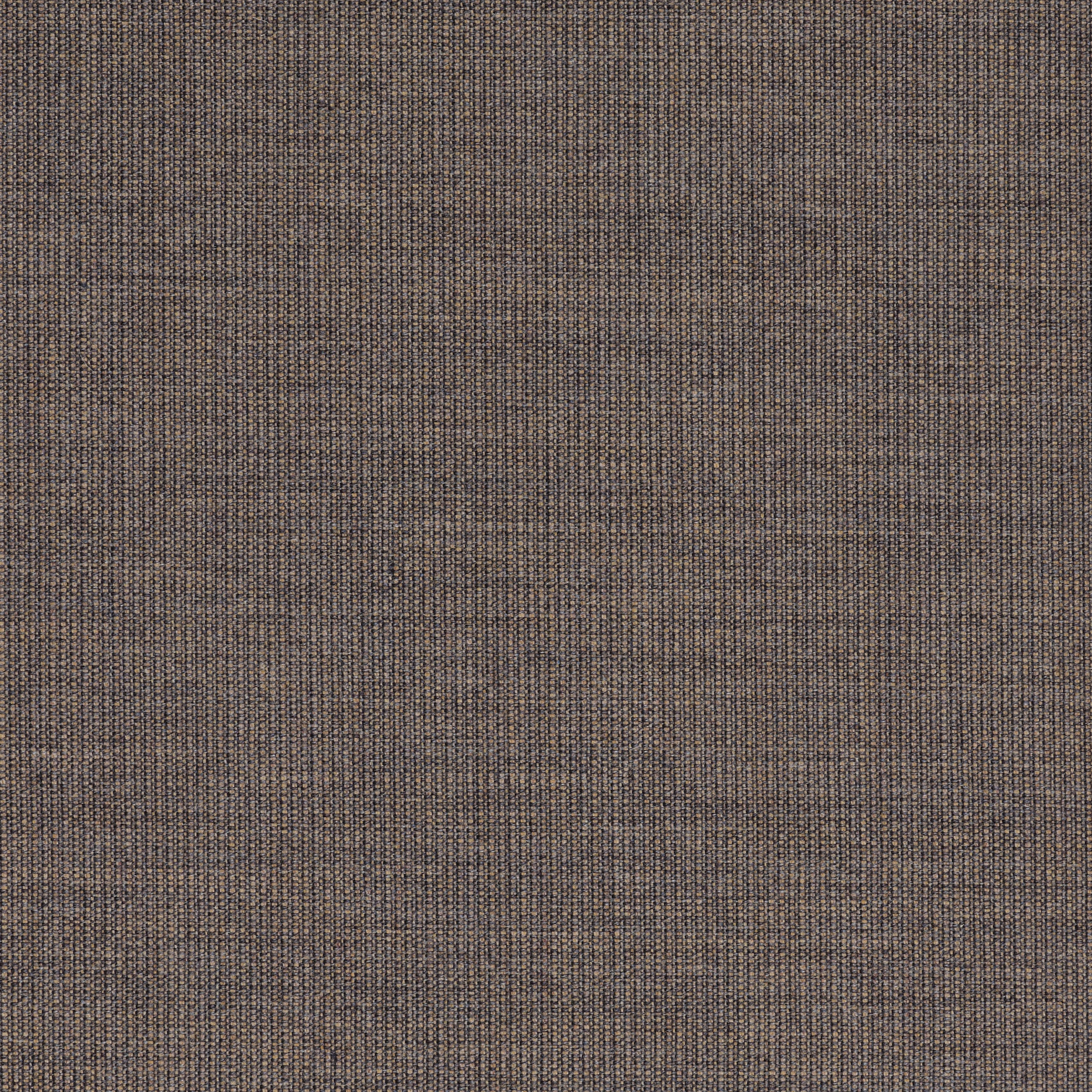 Canvas 2 - 0264