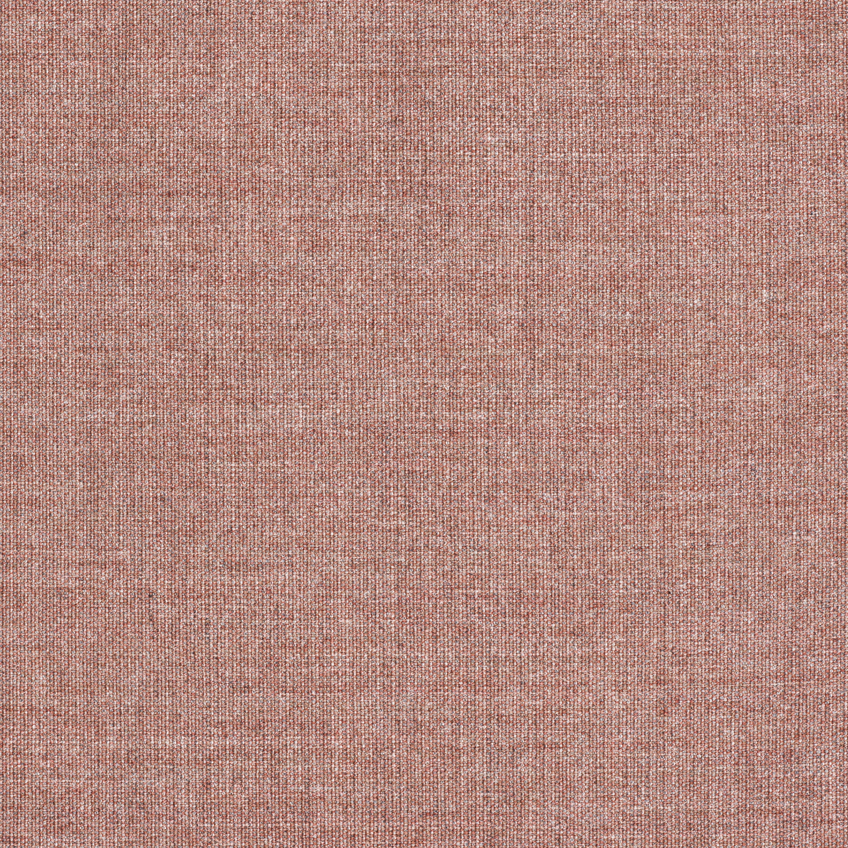 Canvas 2 - 0356