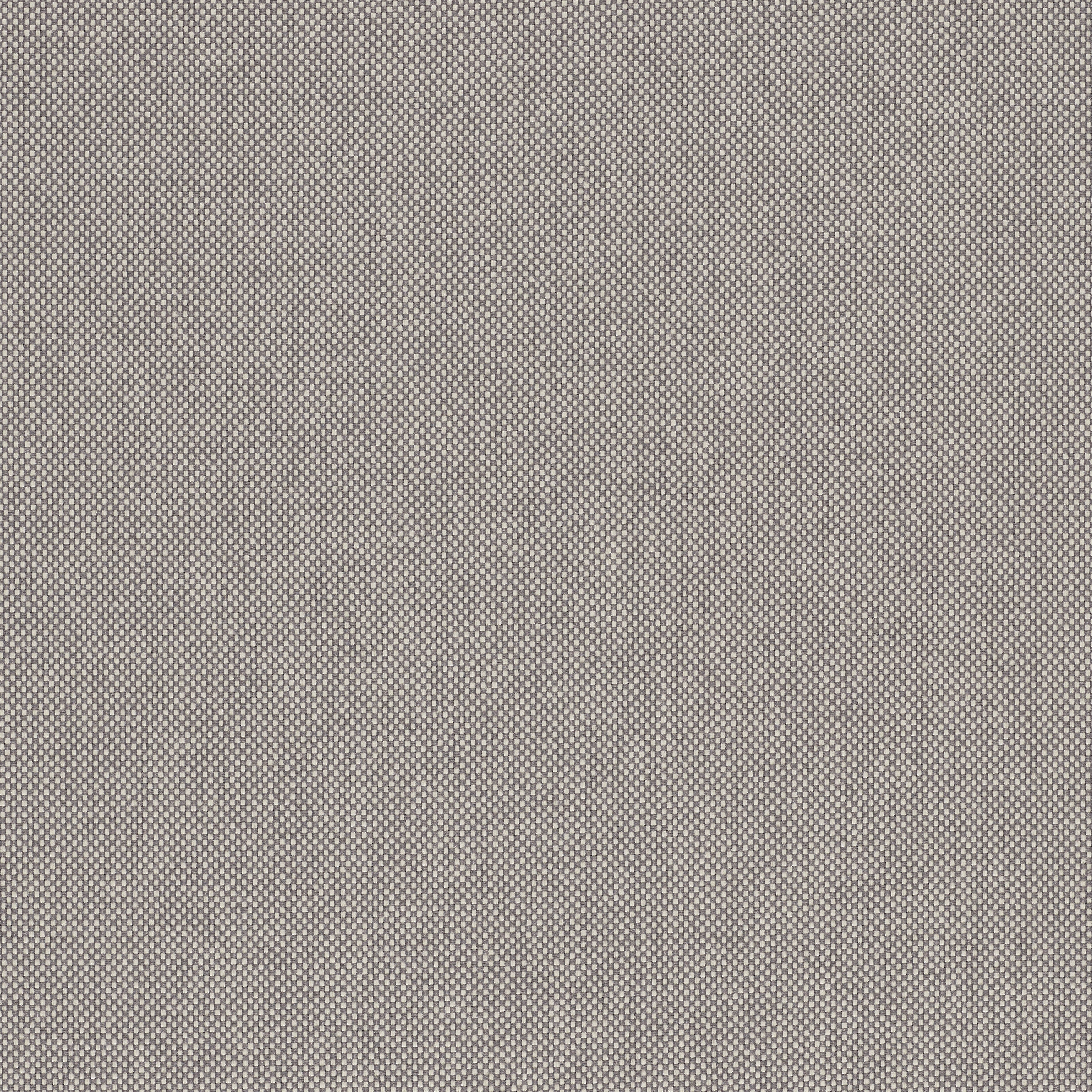 Field 2 - 0242