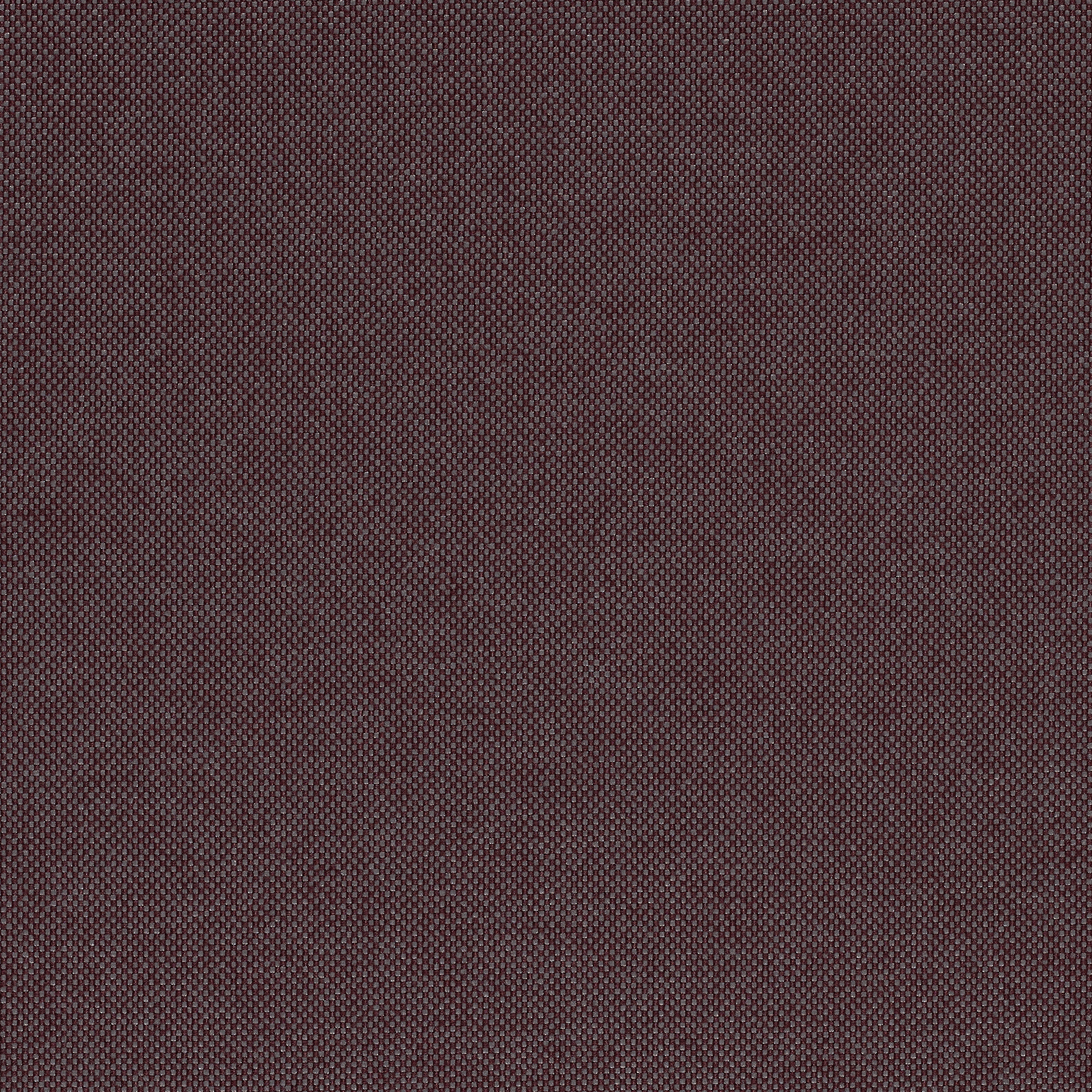 Field 2 - 0373
