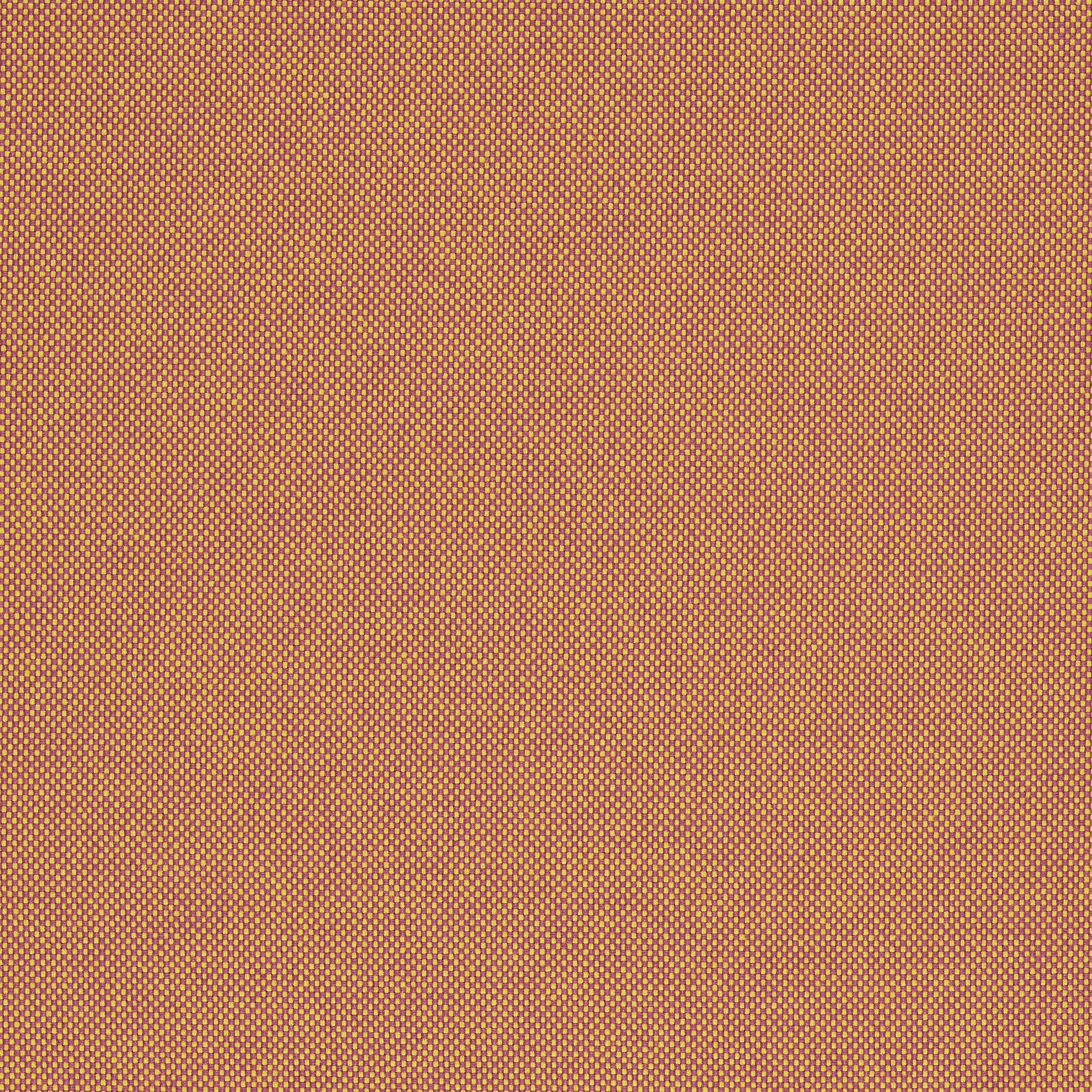 Field 2 - 0443