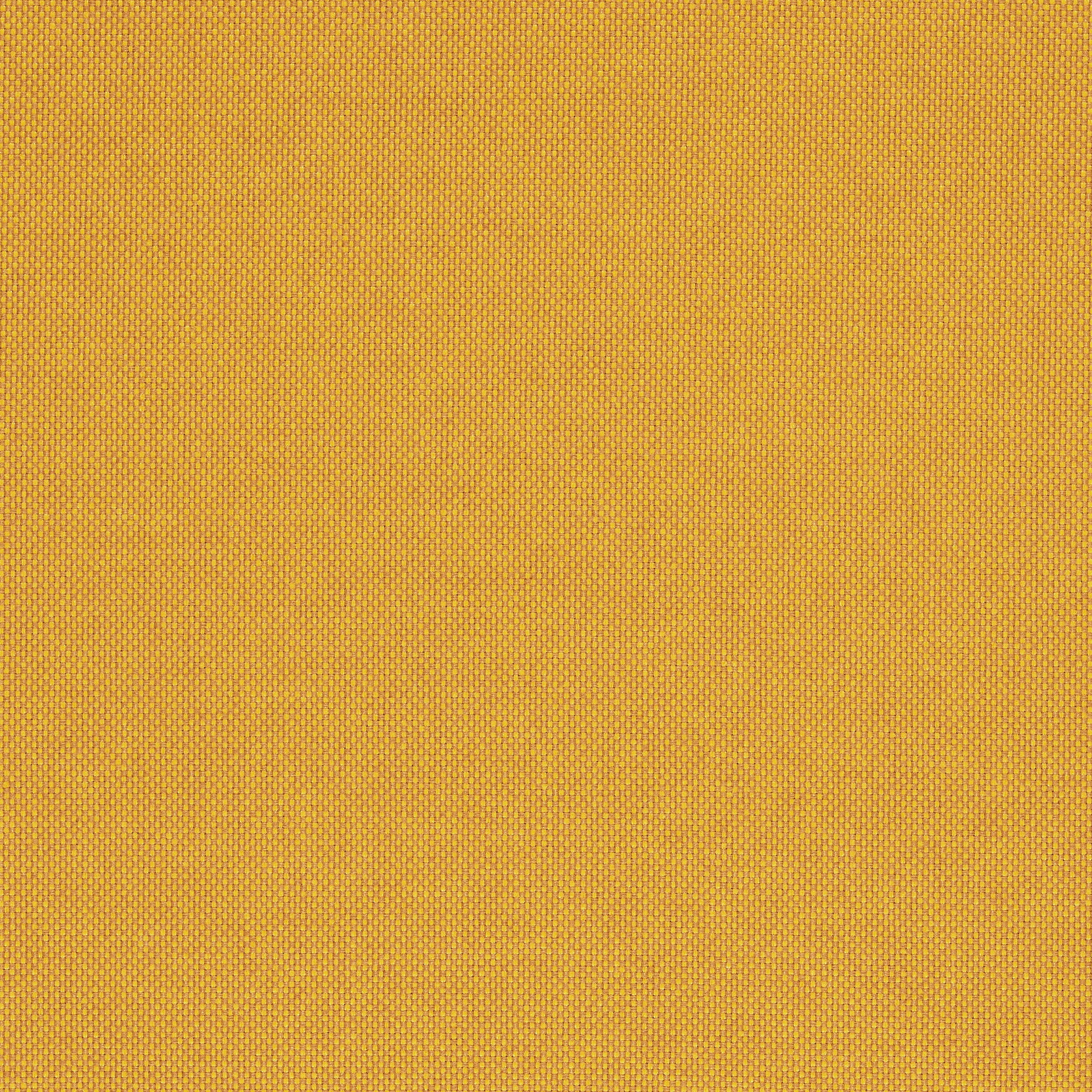 Field 2 - 0463