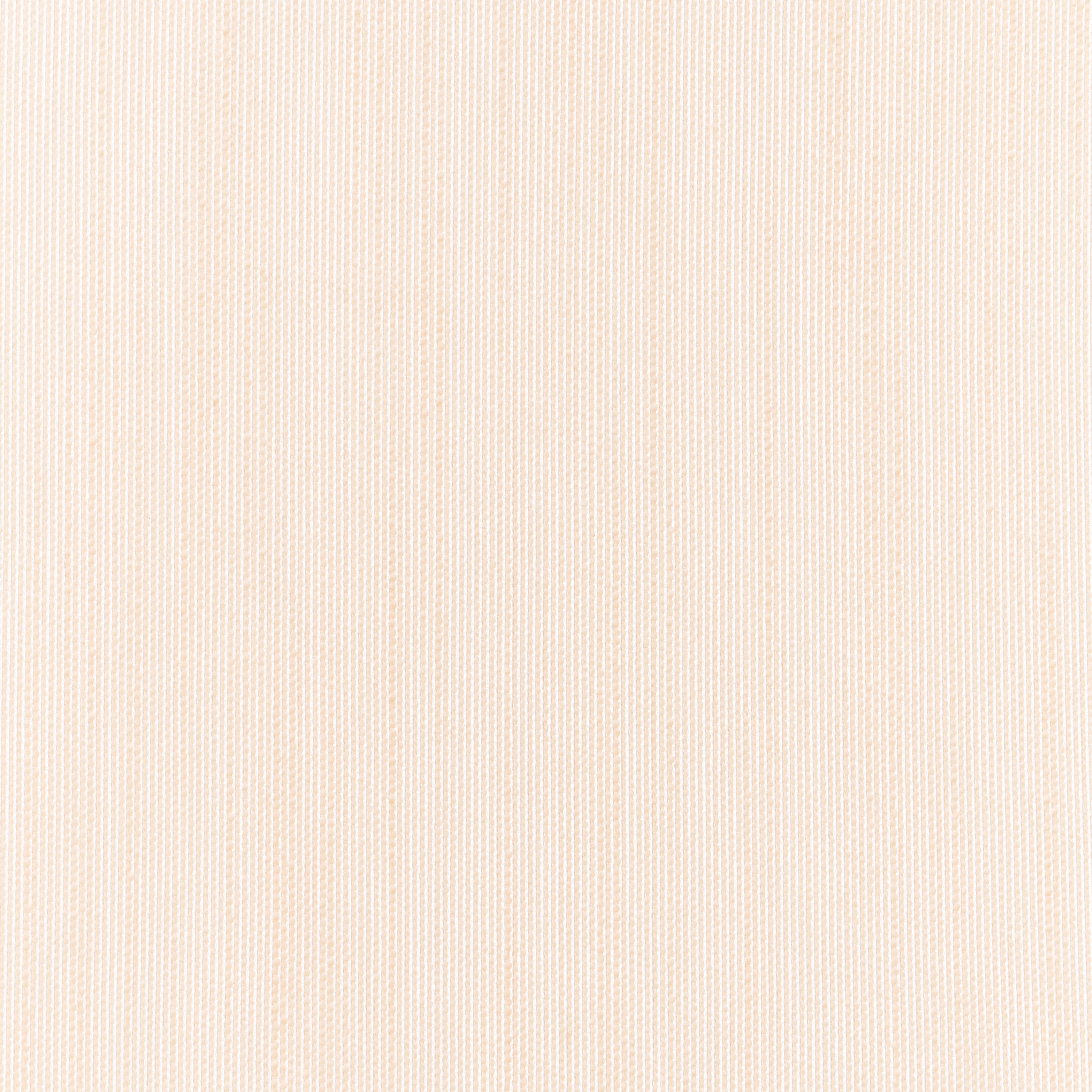 Melu Acoustic - 0228