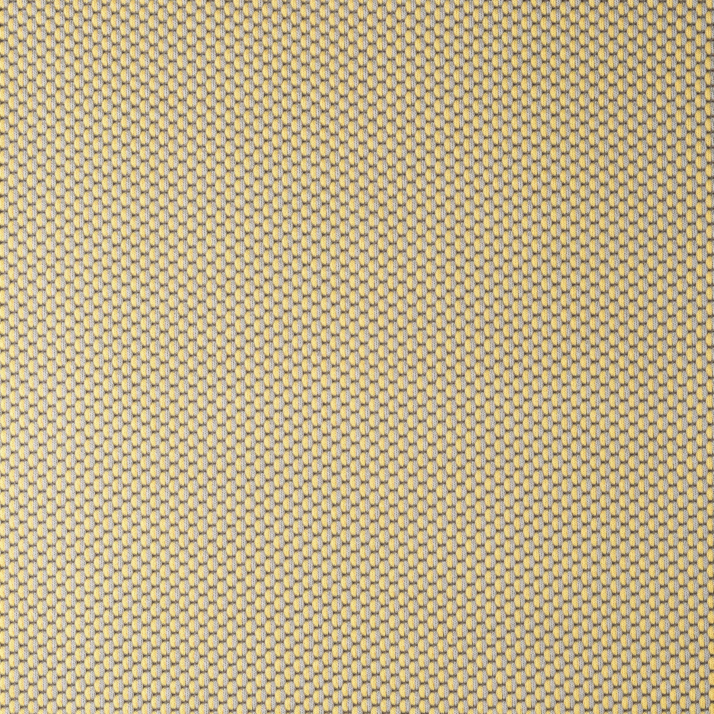 Drop - 0421