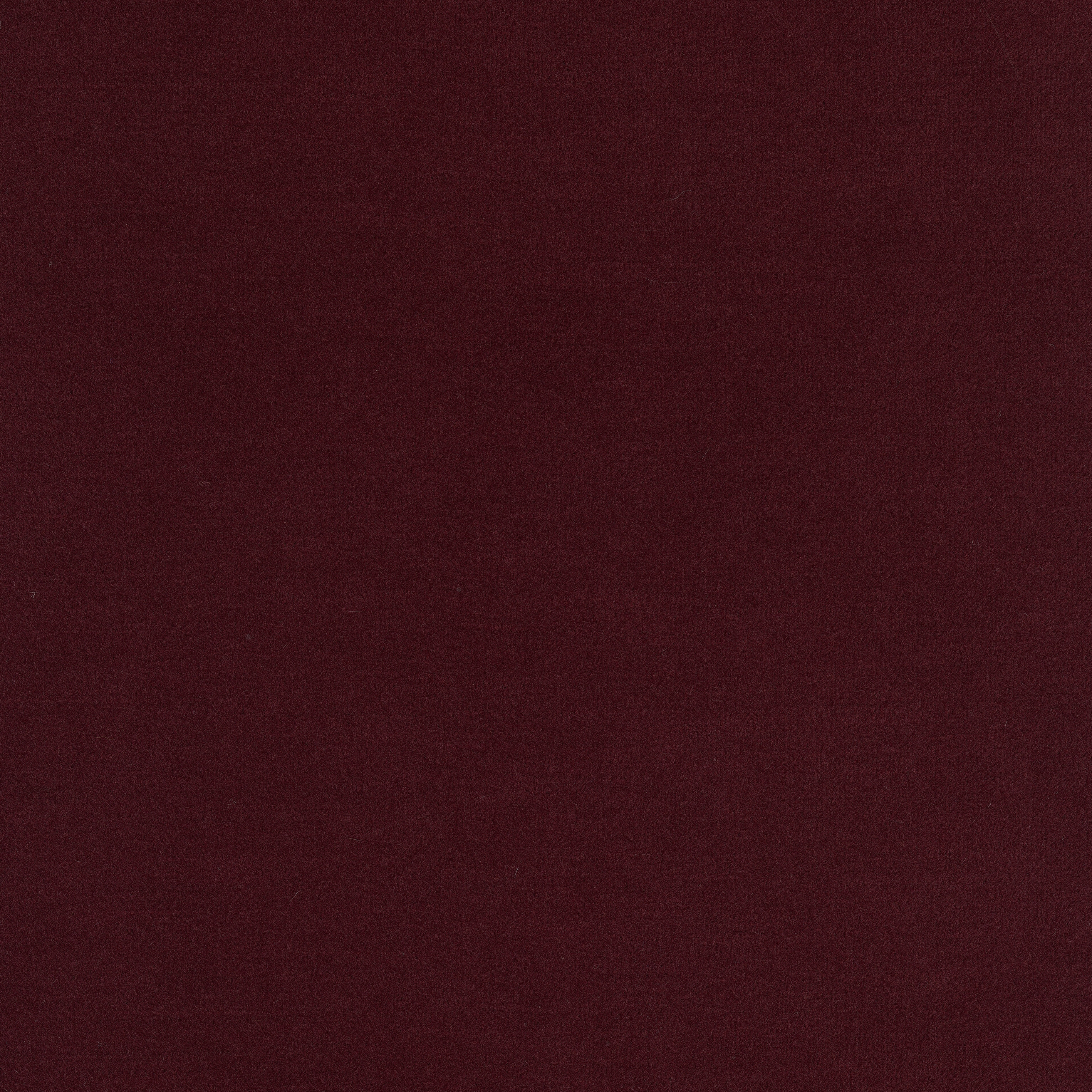 Gentle 2 - 0683