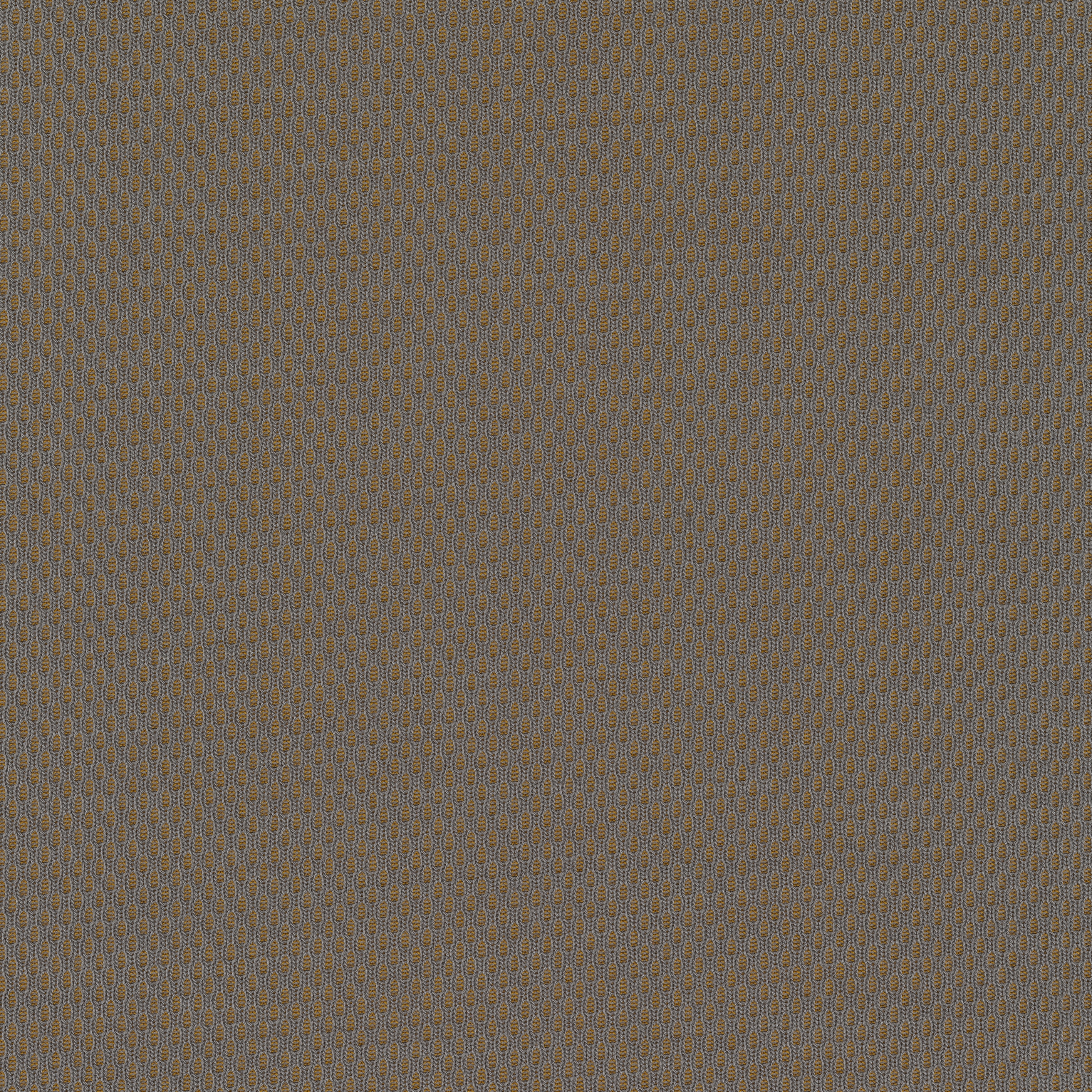Plecto - 0244