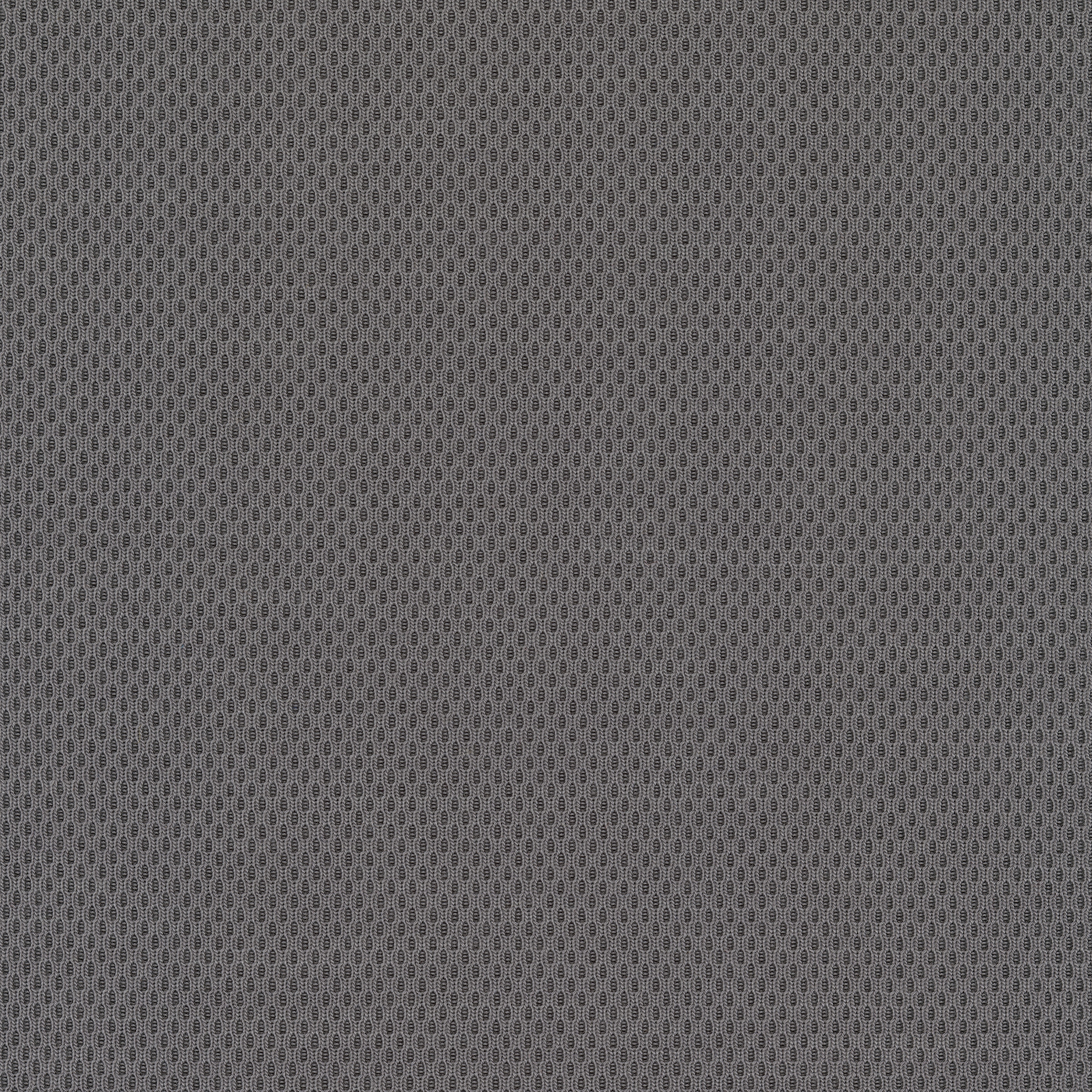 Plecto - 0134