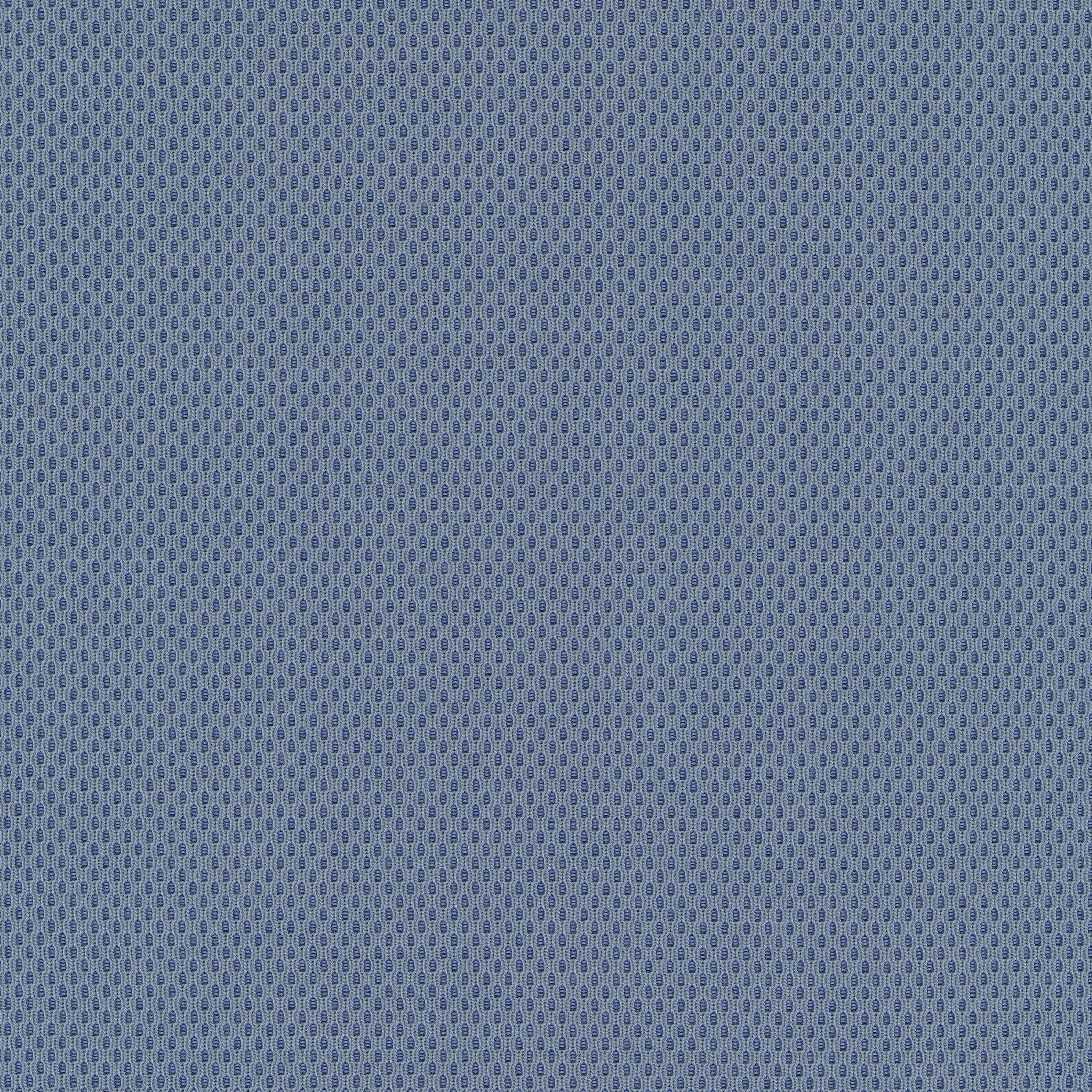 Plecto - 0734