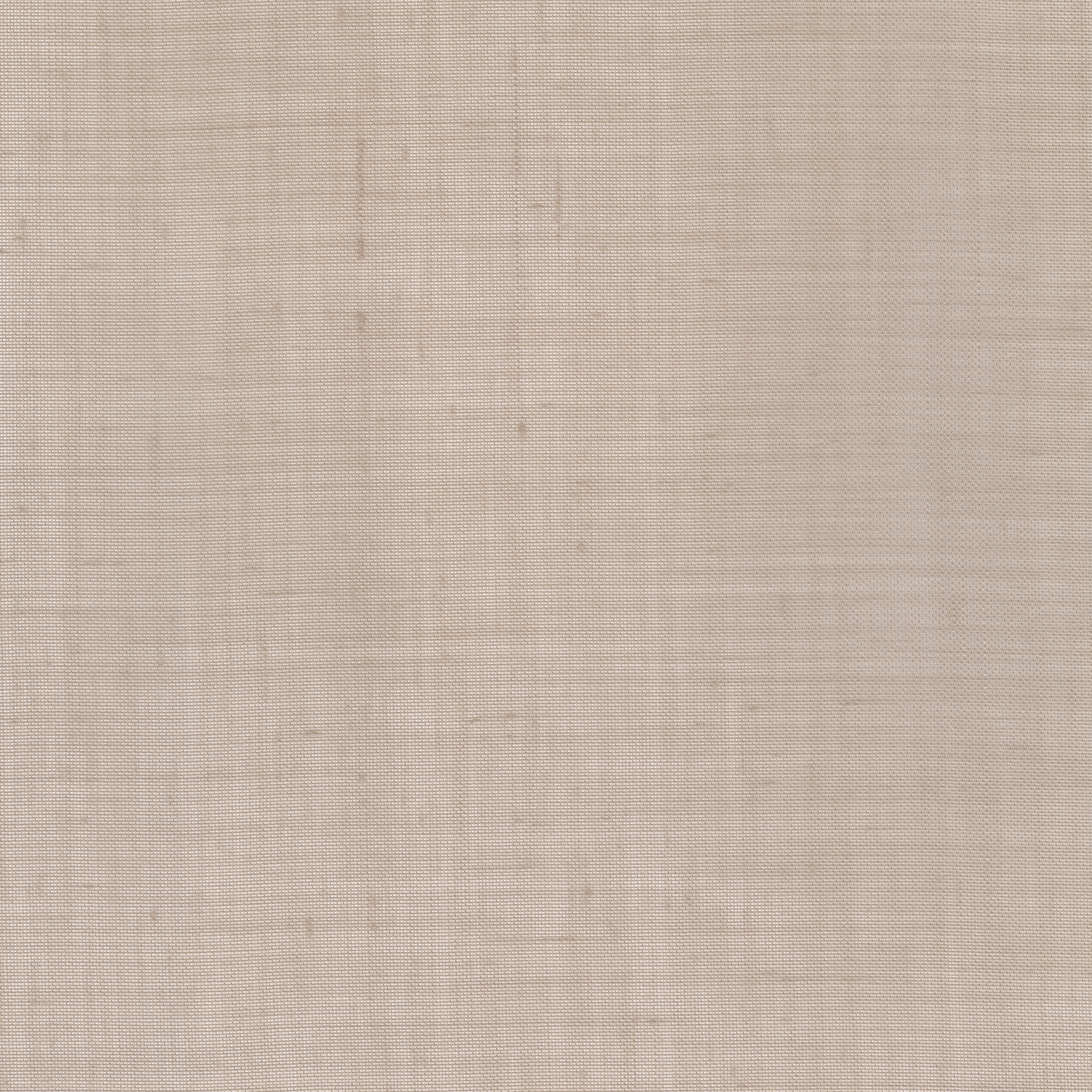 Erin II - 0006