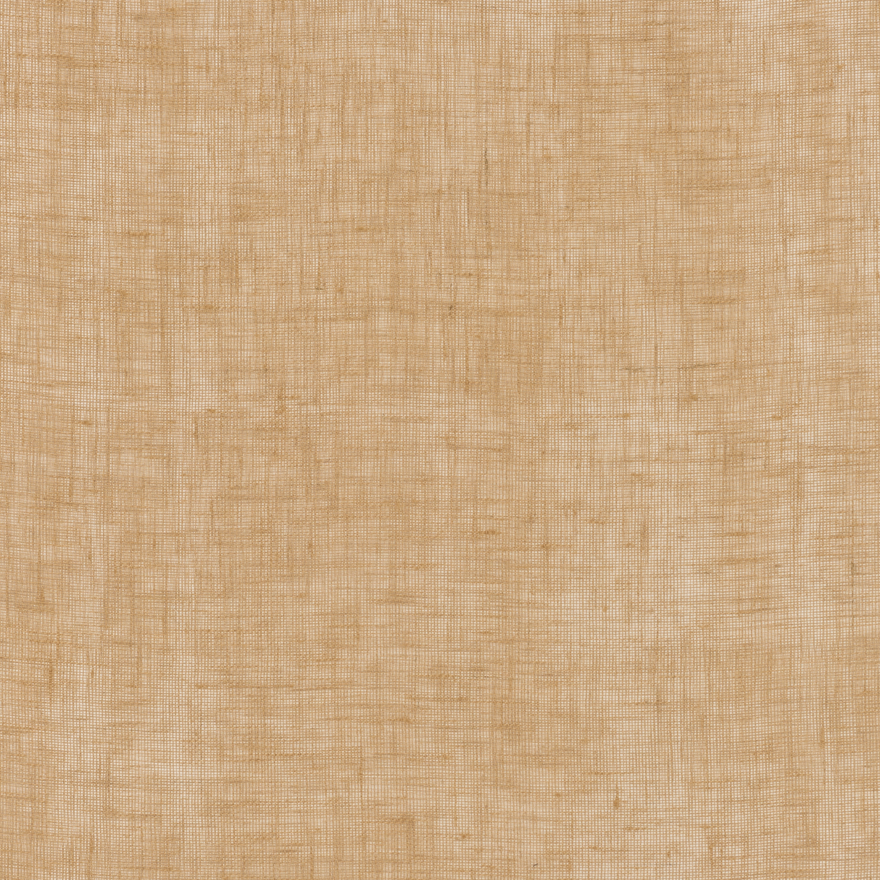 Lino Lino - 0012