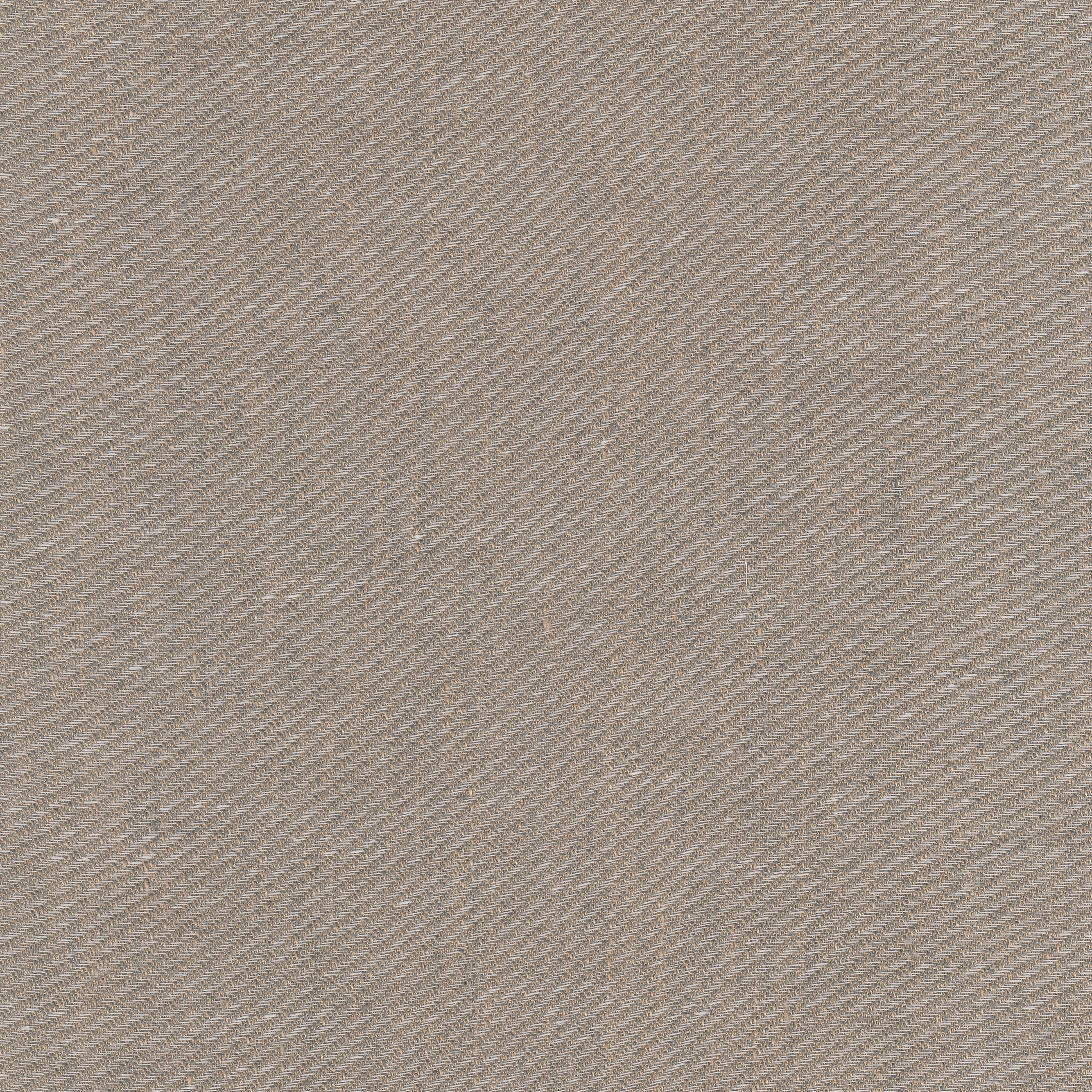 Nomen - 0006