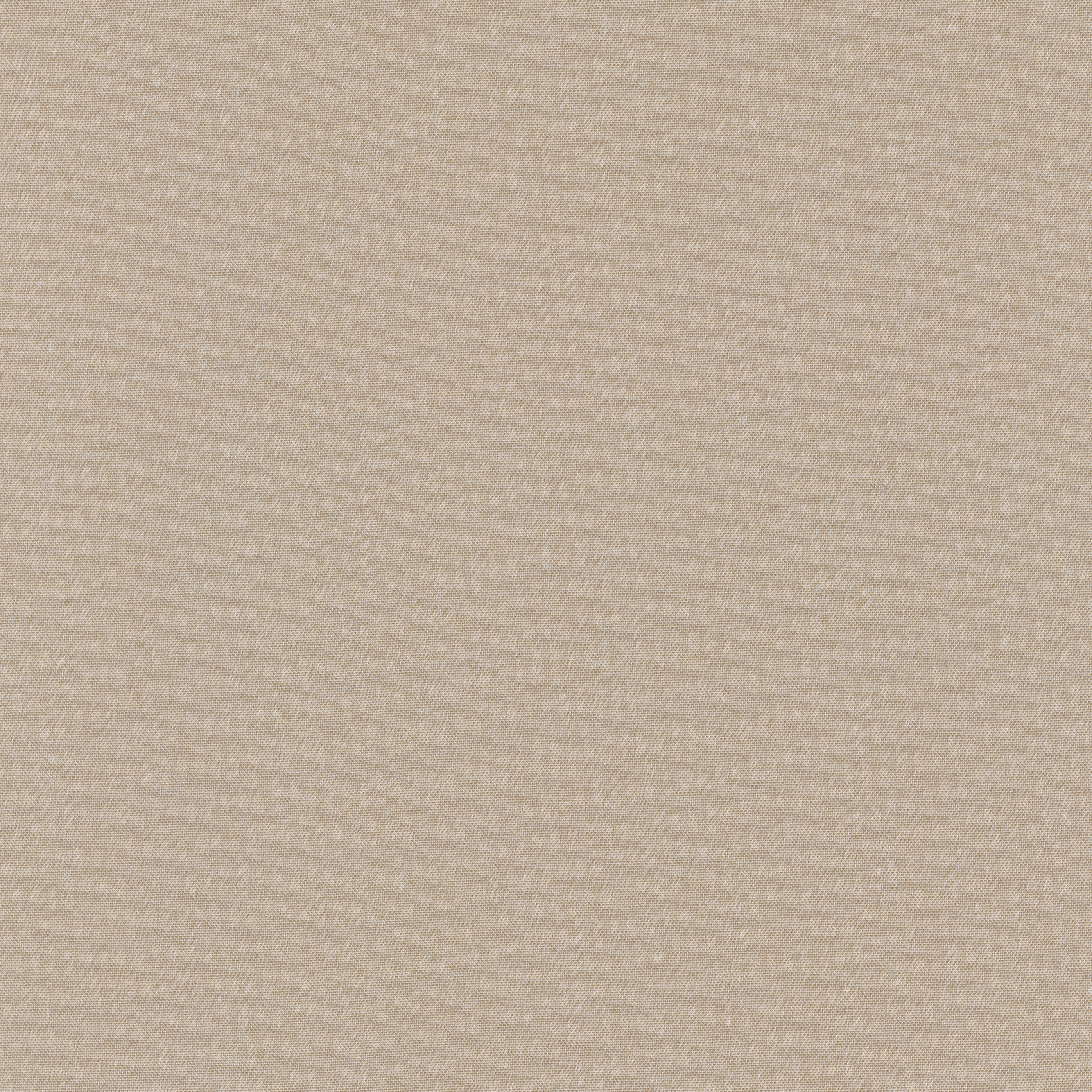Tints - 0213