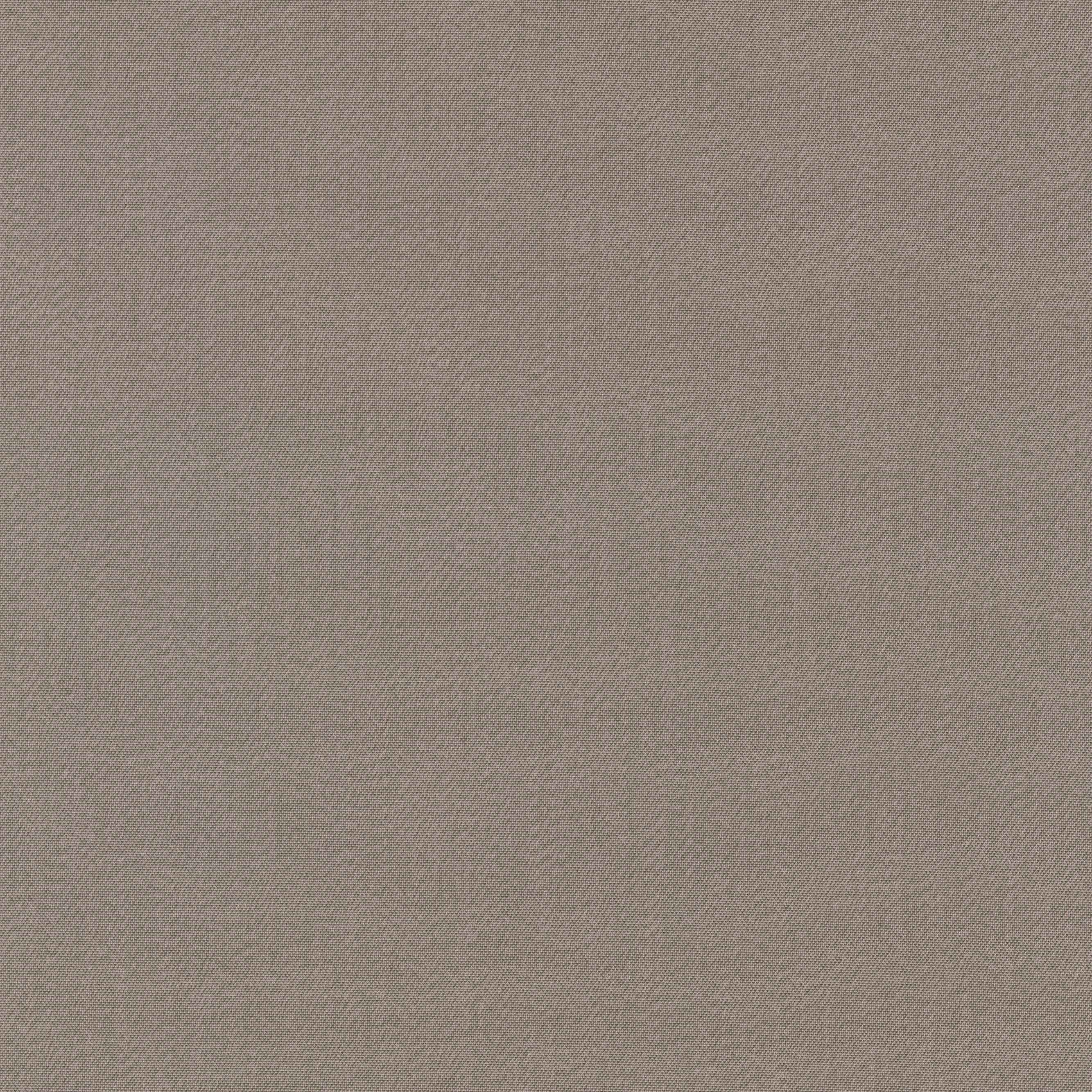 Tints - 0253