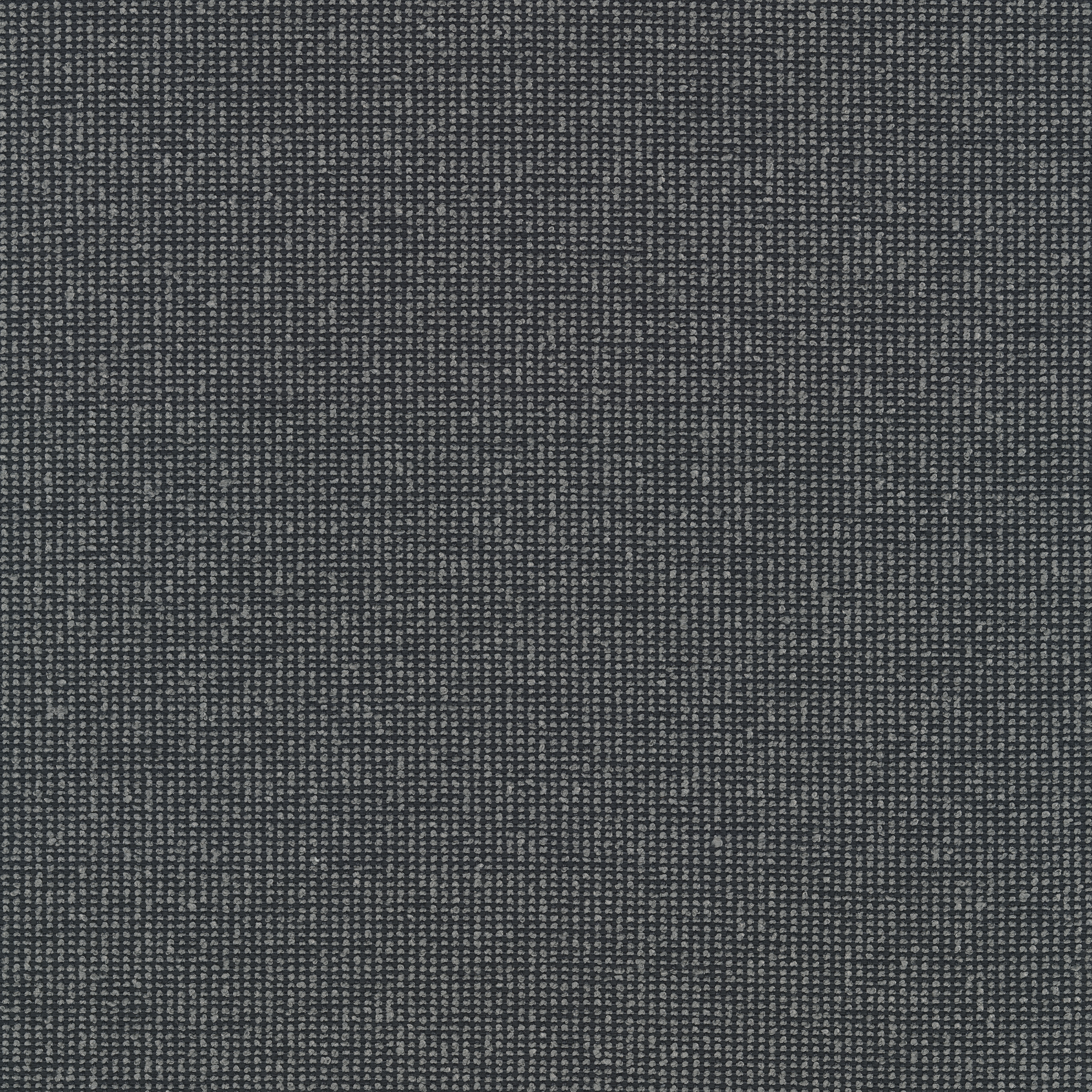 Encircle - 0172