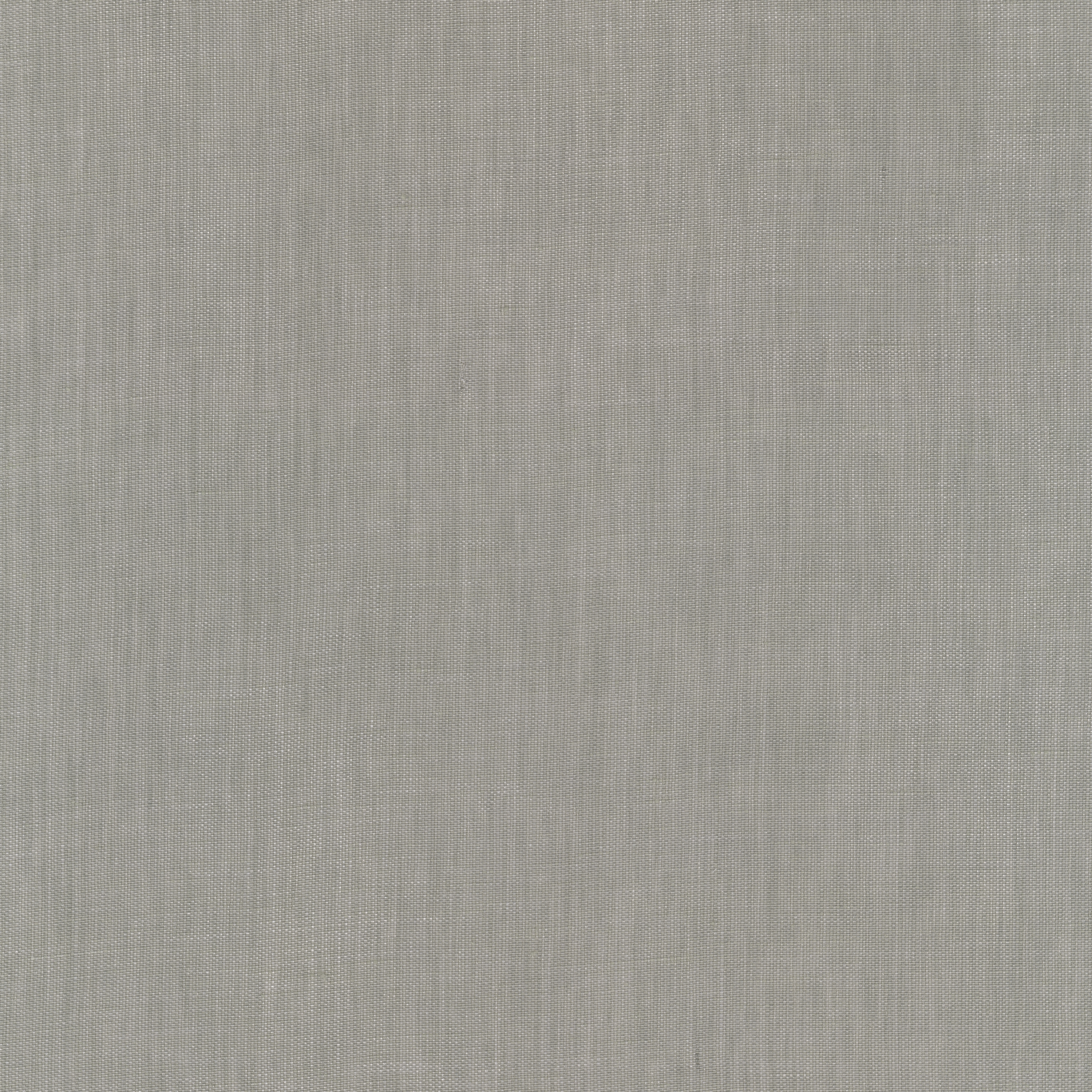 Raffia - 0006