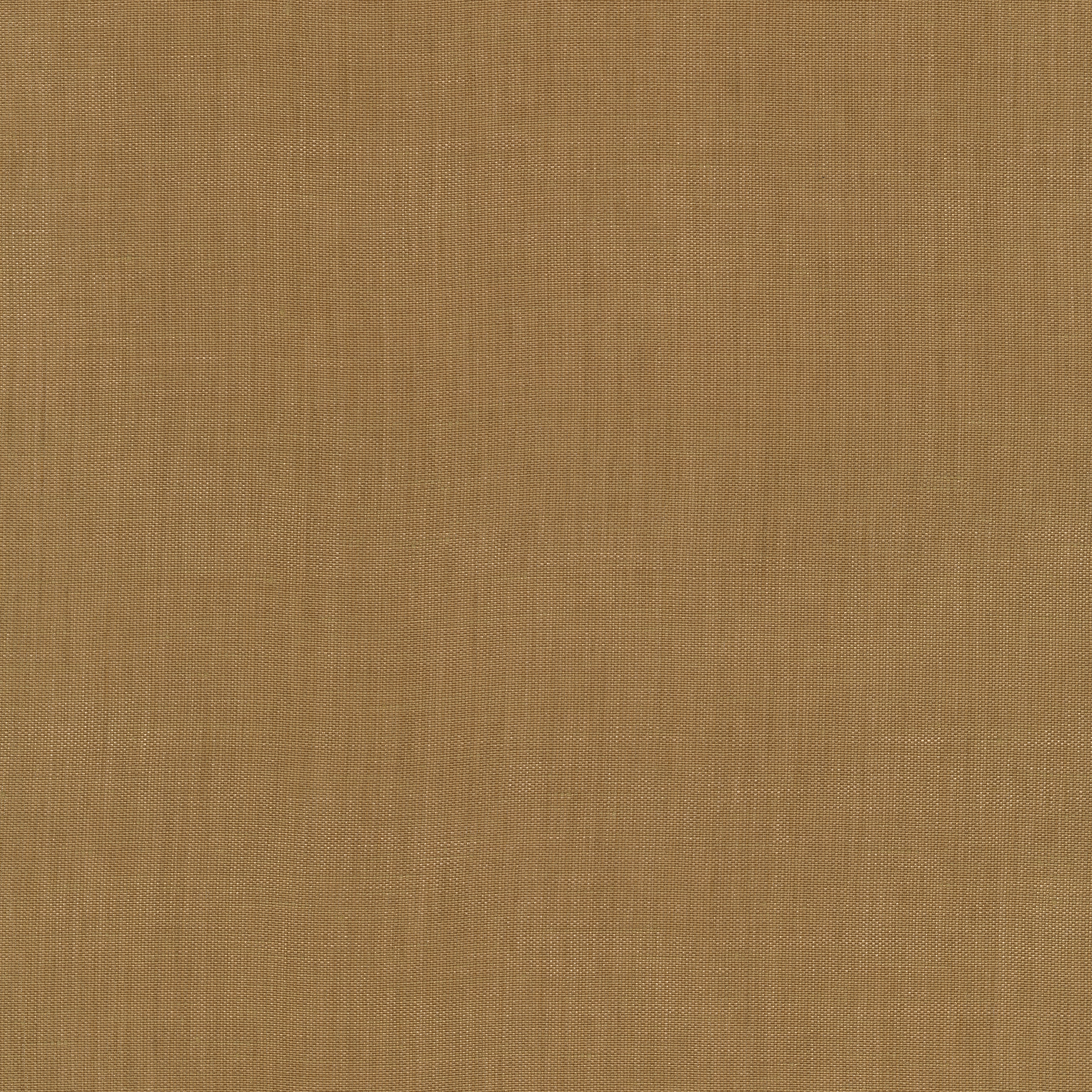 Raffia - 0012