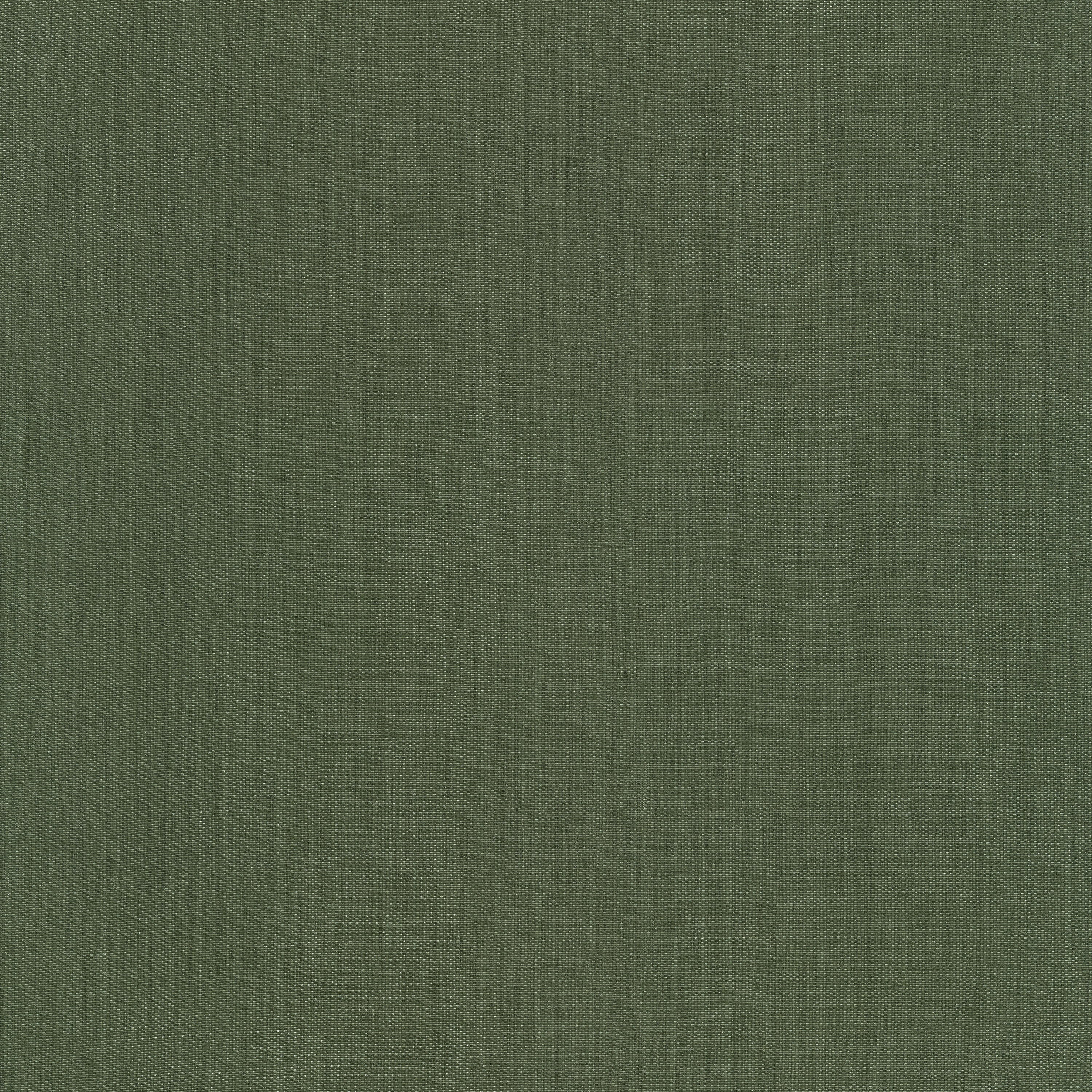 Raffia - 0014