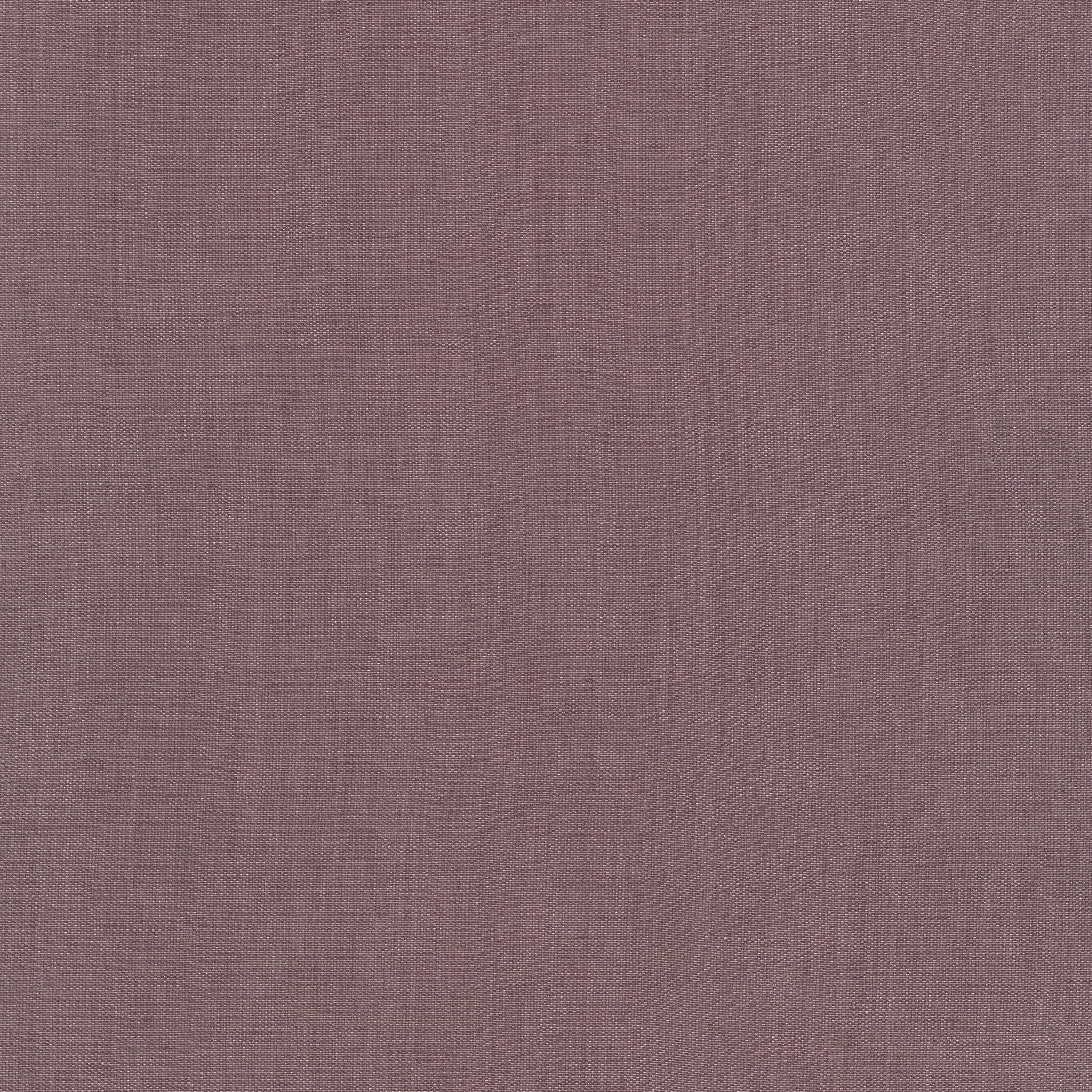 Raffia - 0015