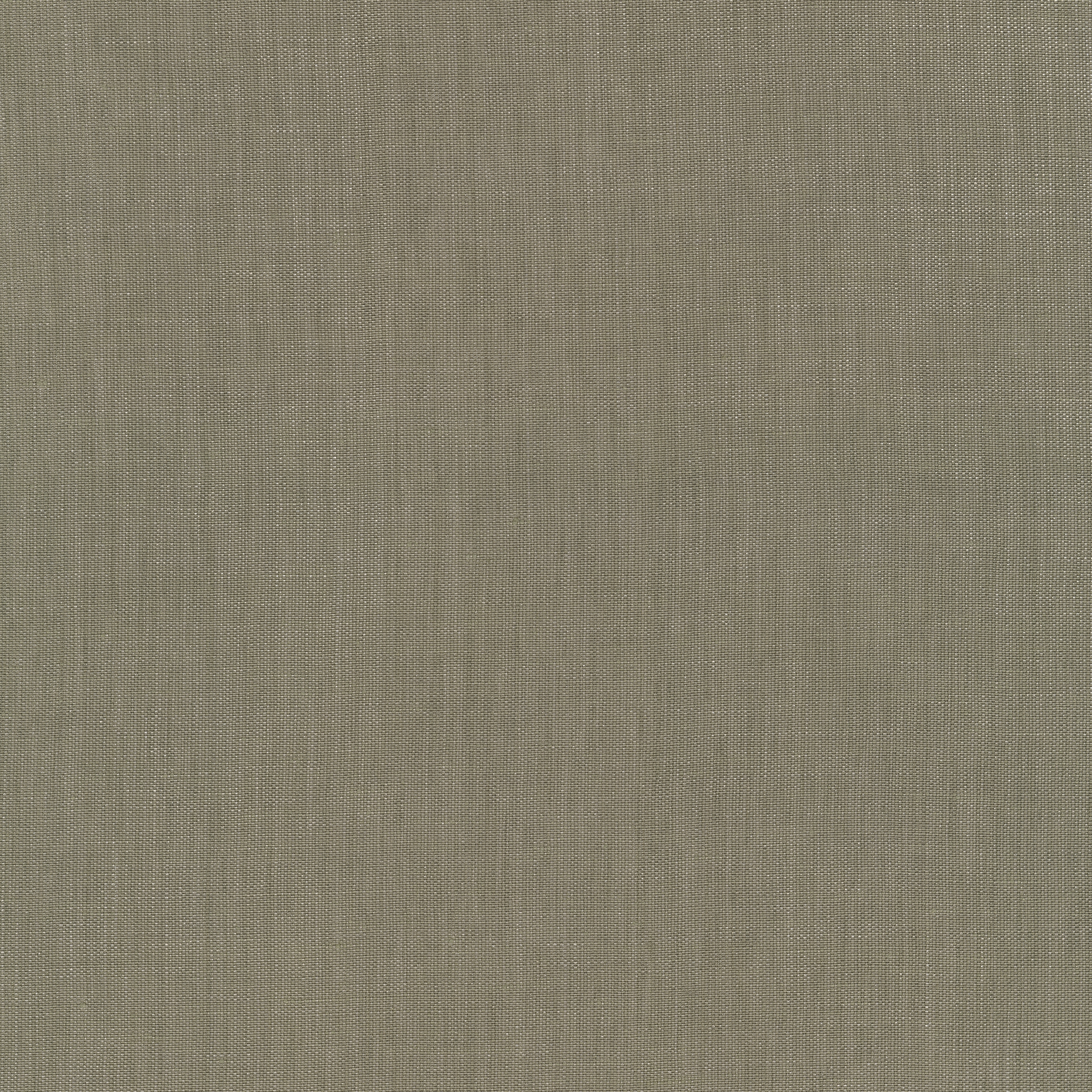 Raffia - 0024