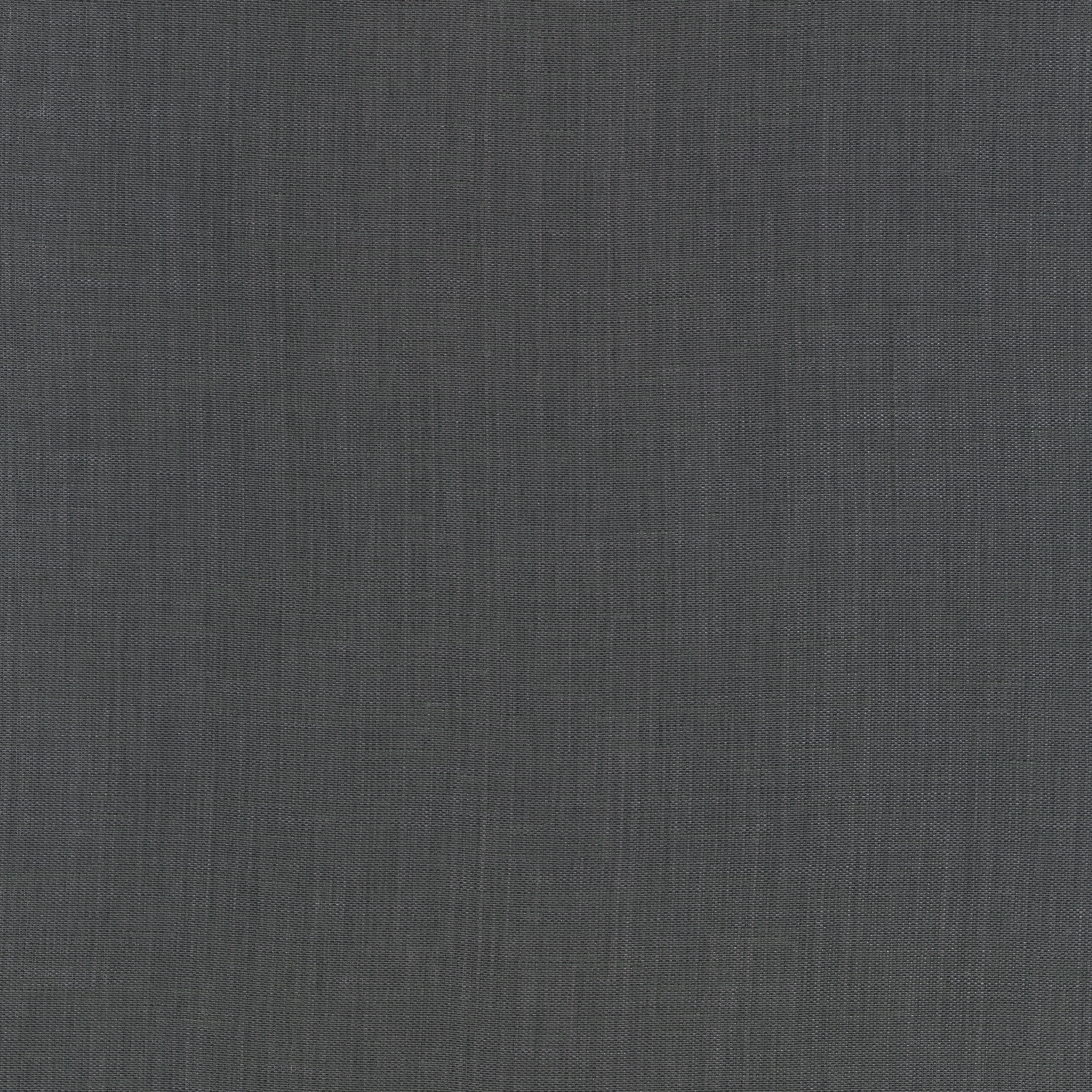 Raffia - 0033