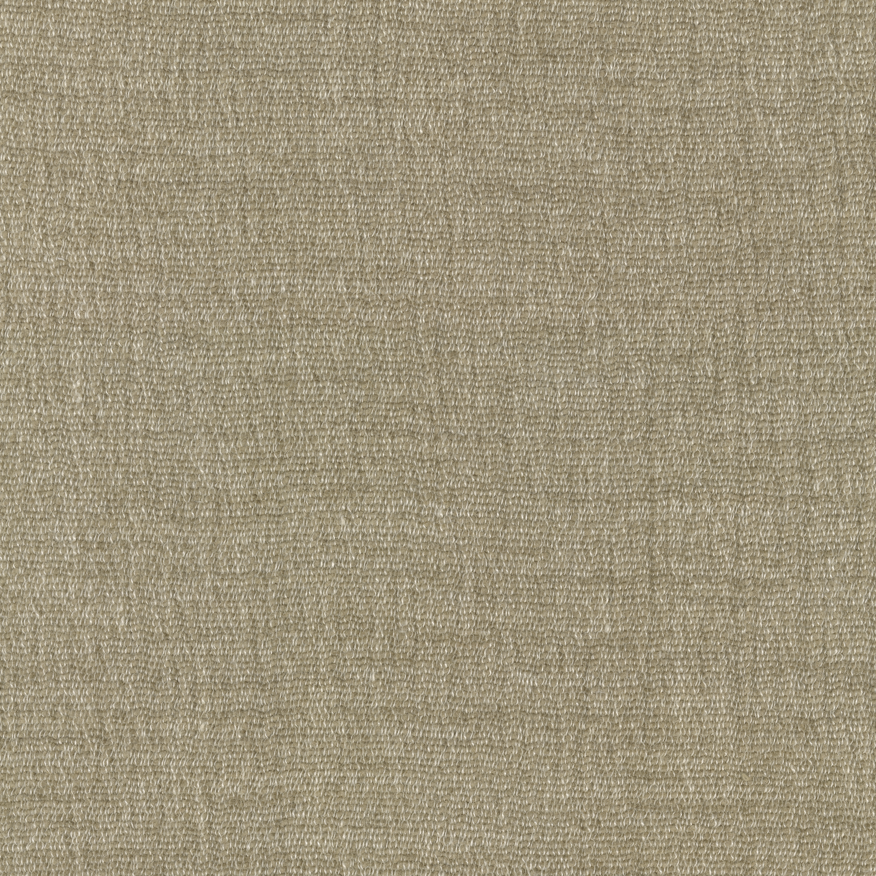 Cheno - 0006