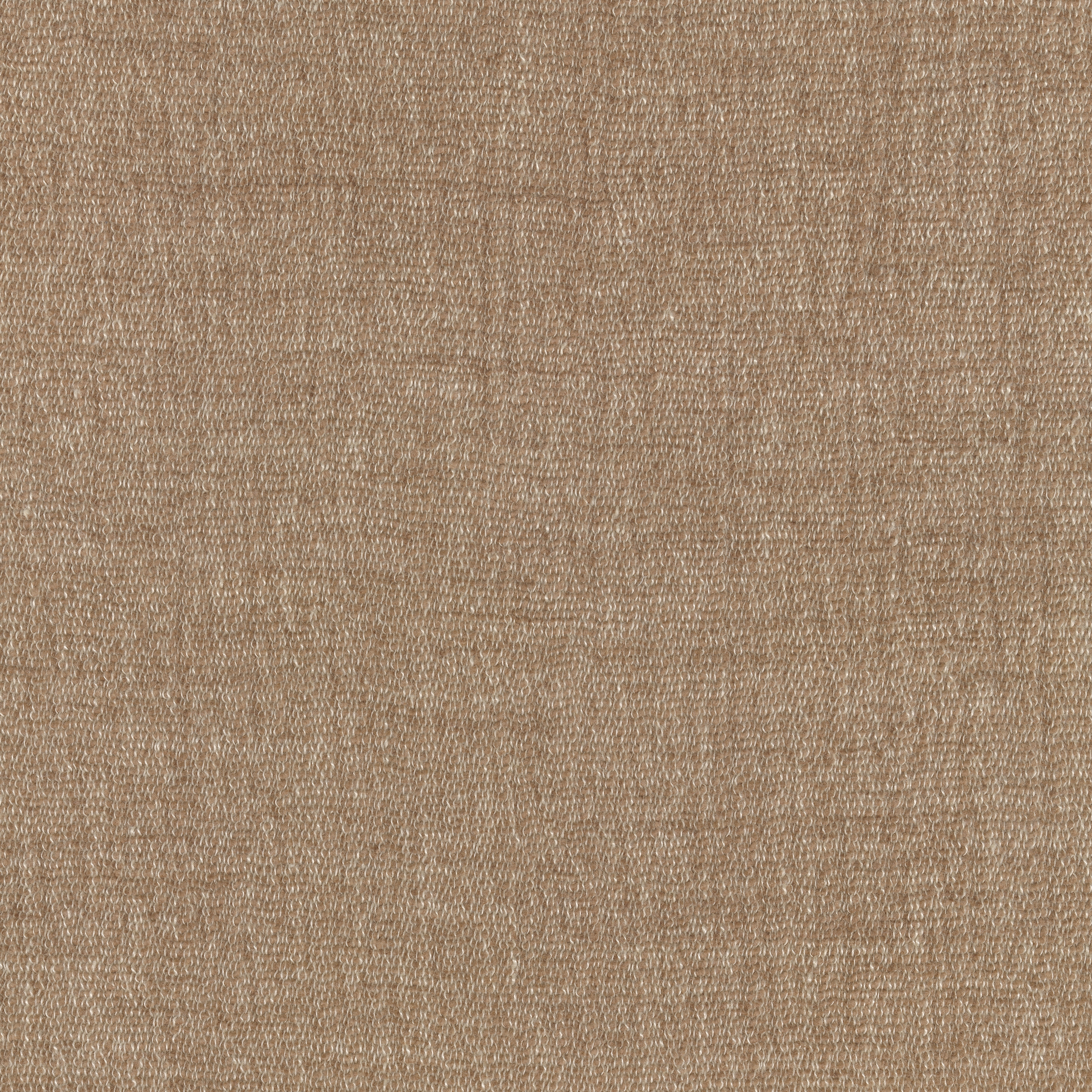 Cheno - 0020