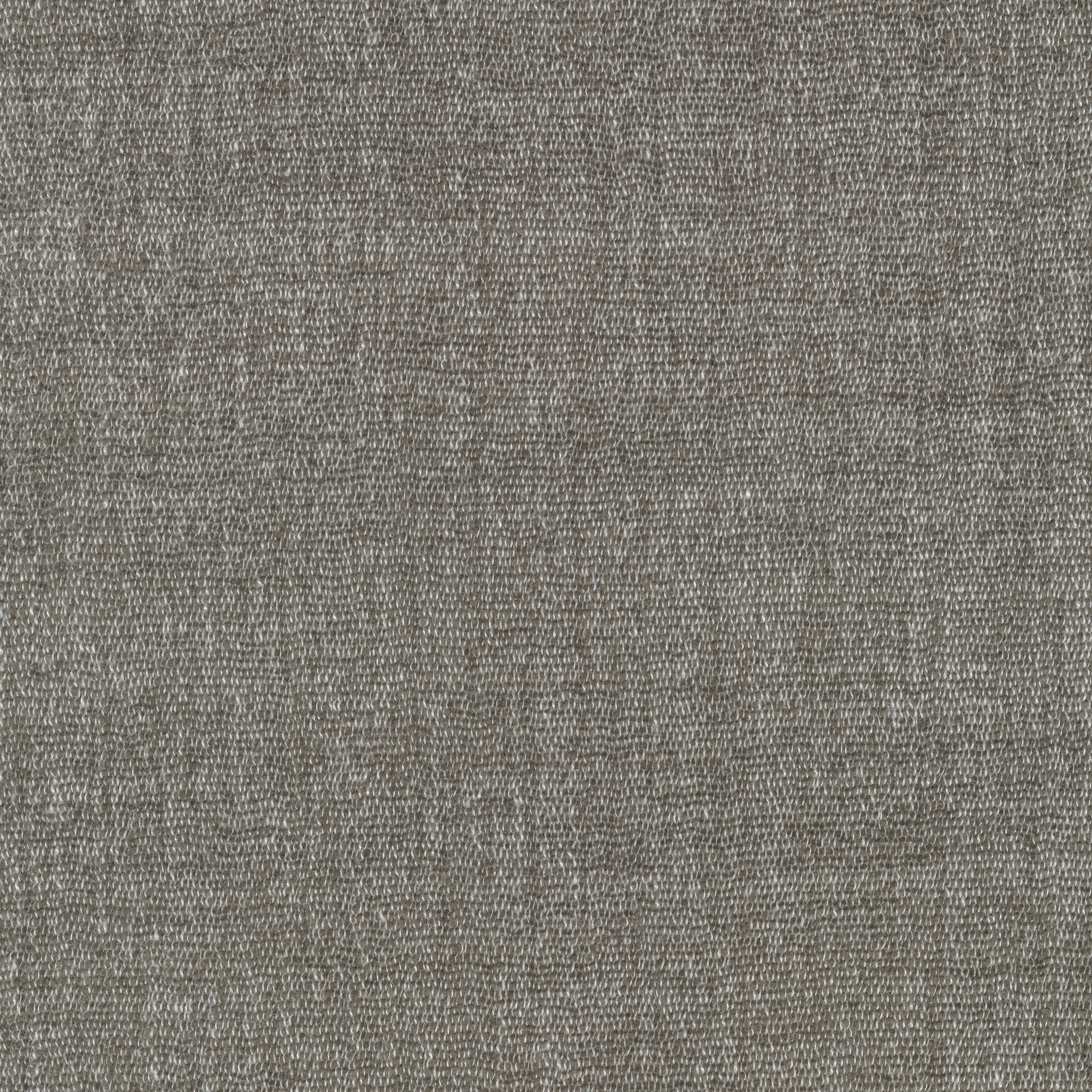 Cheno - 0026