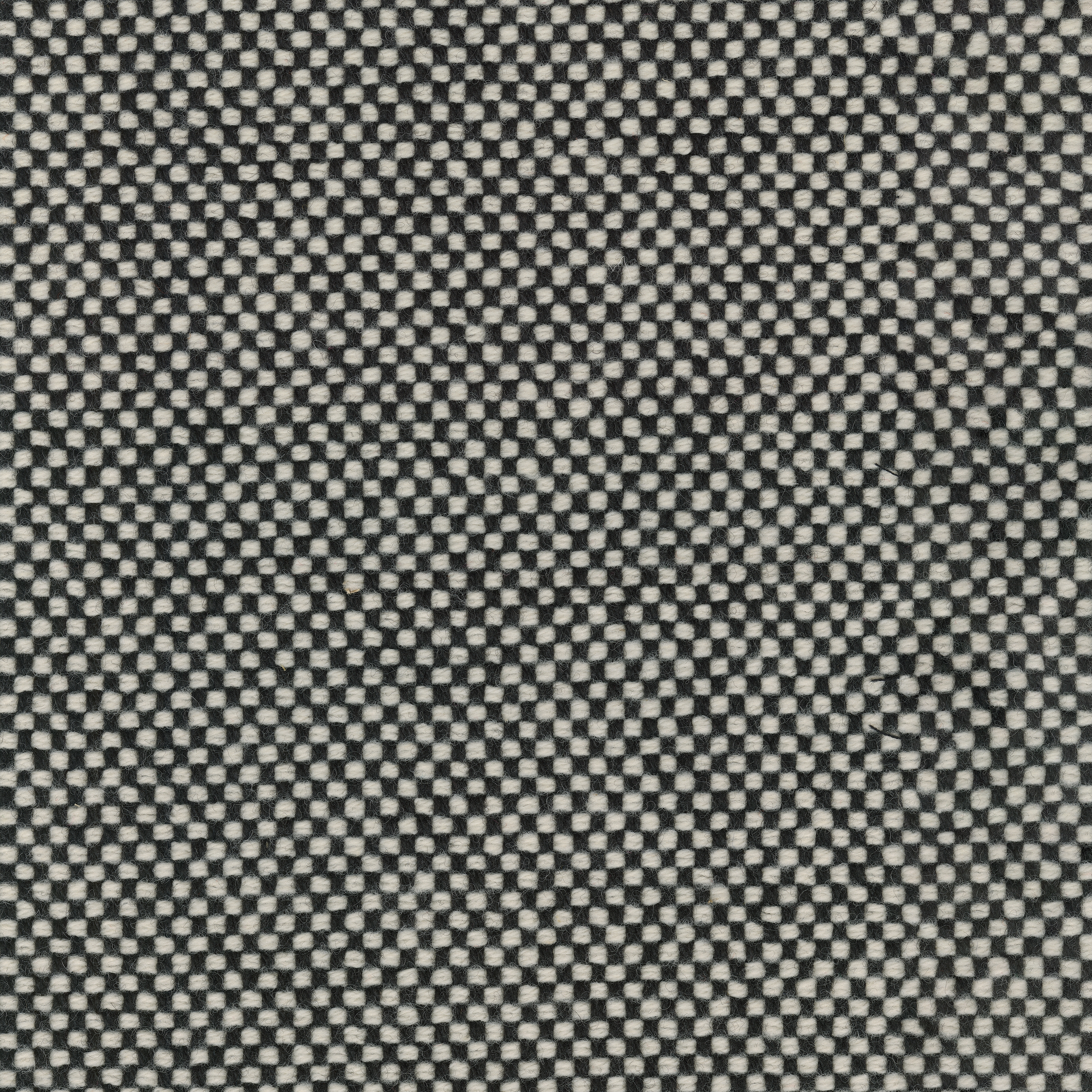 Sisu - 0165