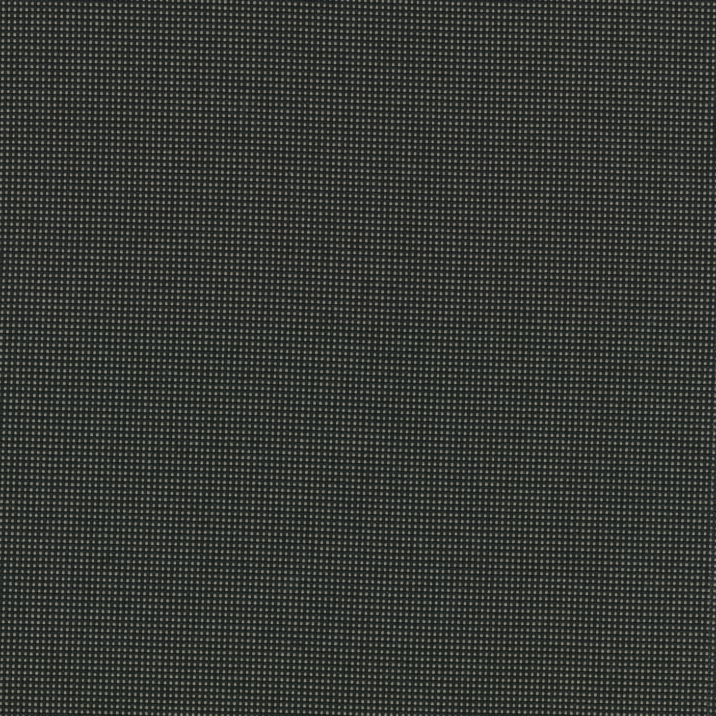 Pro 3 - 0244