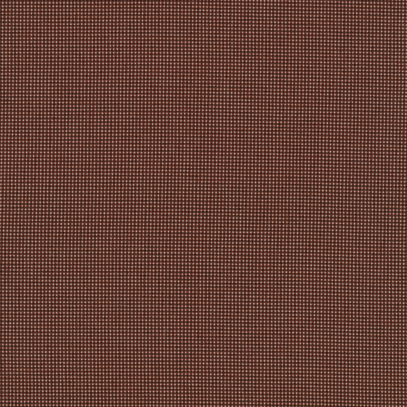Pro 3 - 0264
