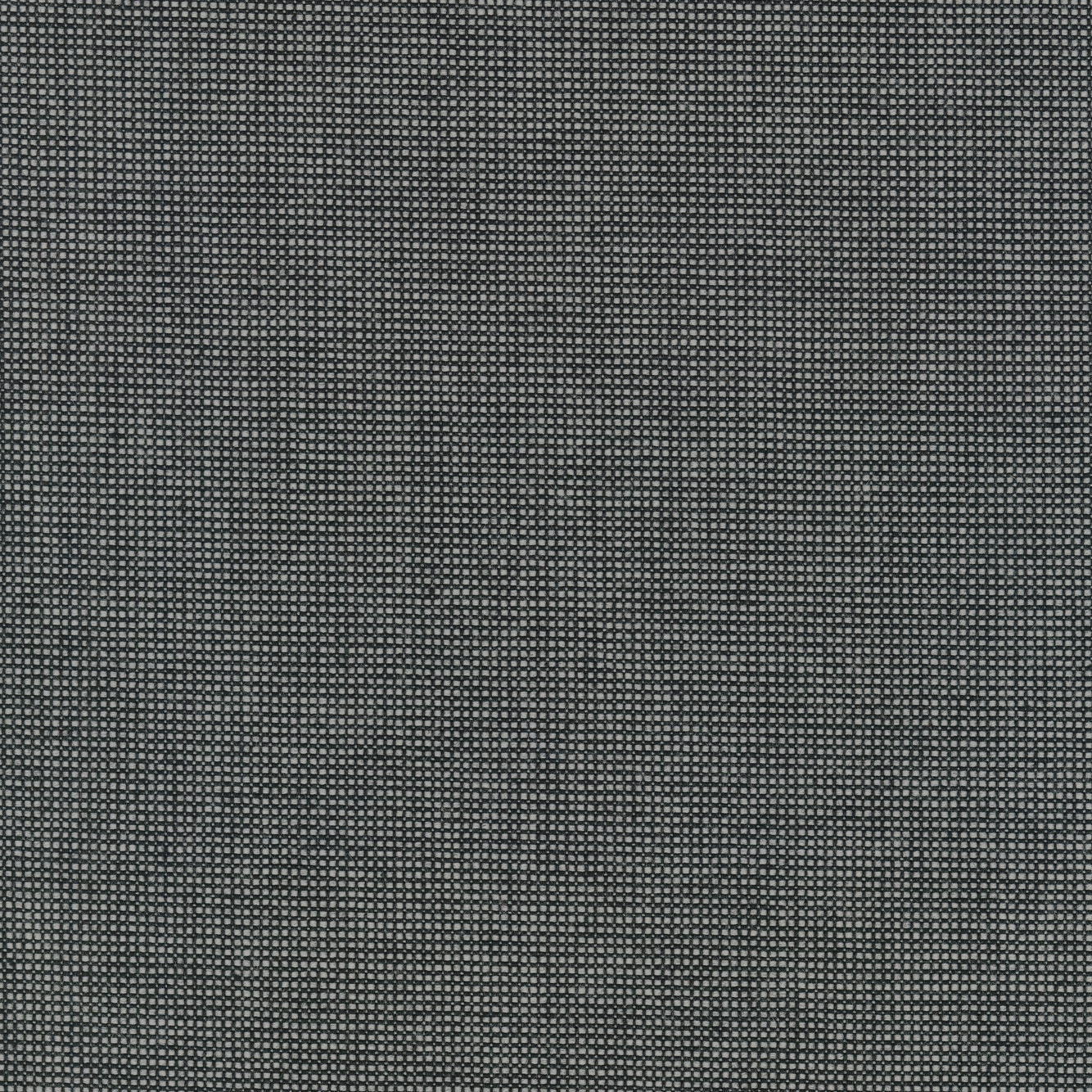 Sabi - 0151